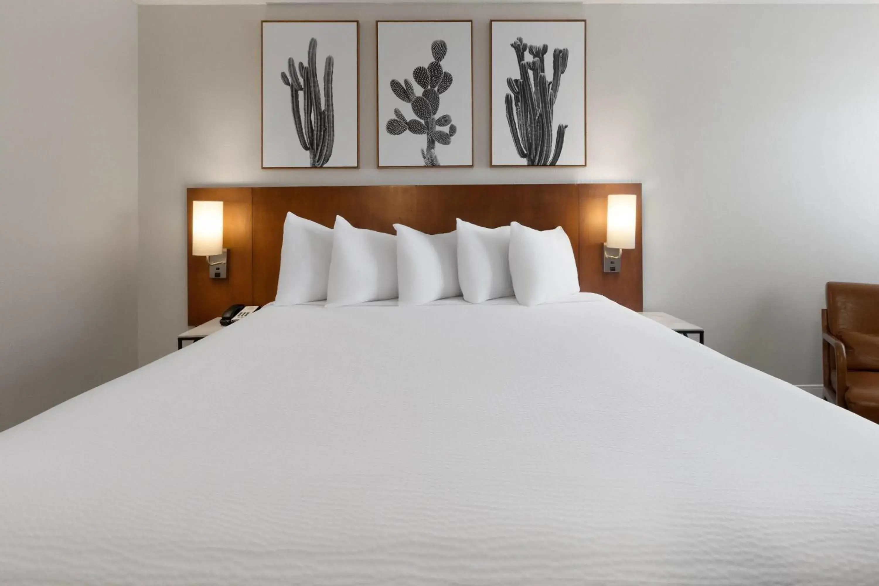 Photo of the whole room, Bed in Kokopelli Inn Sedona, Trademark Collection by Wyndham Photo of the whole room, Bed in Kokopelli Inn Sedona, Trademark Collection by Wyndham