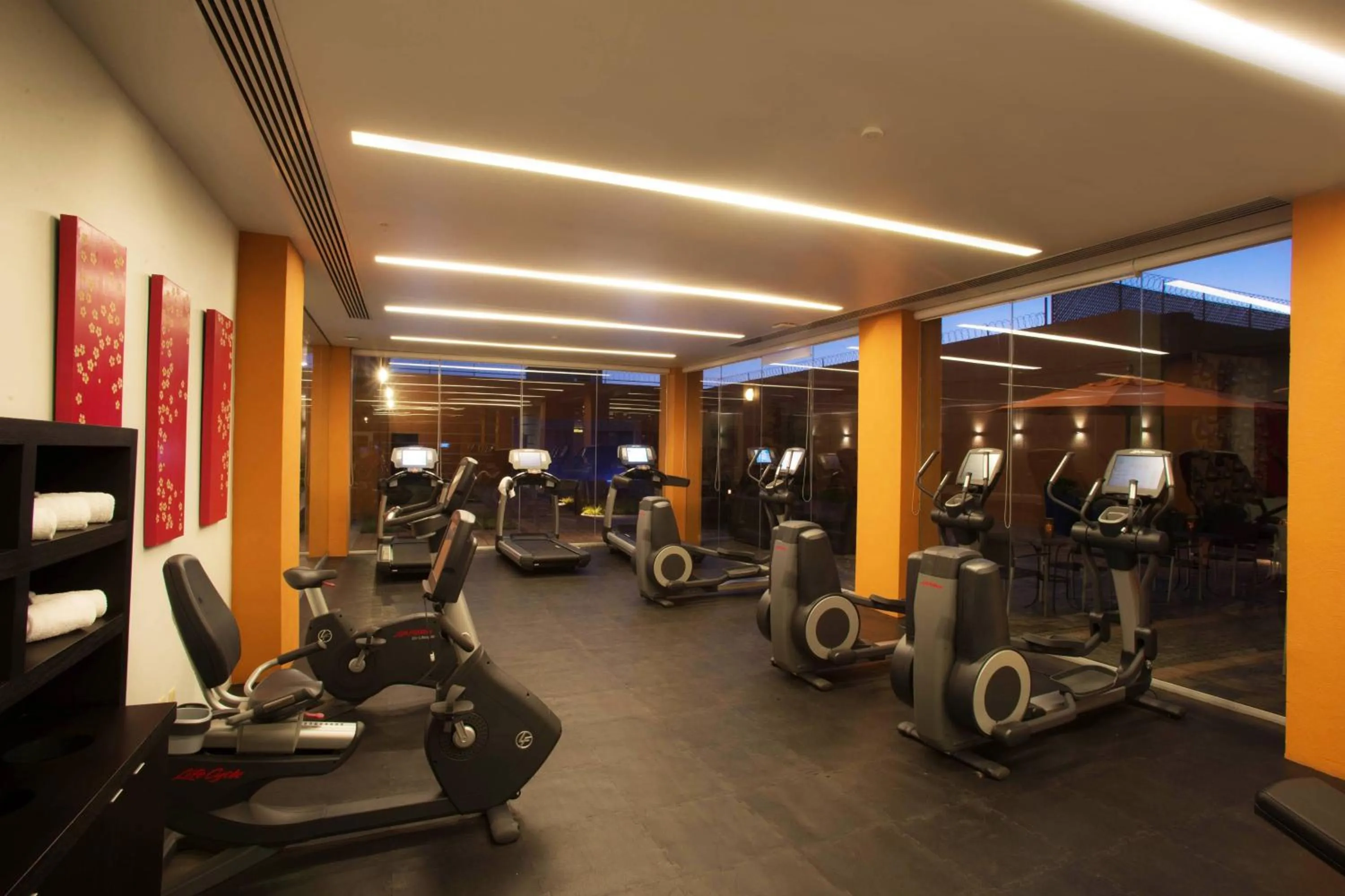 Fitness centre/facilities in Courtyard Toluca Tollocan