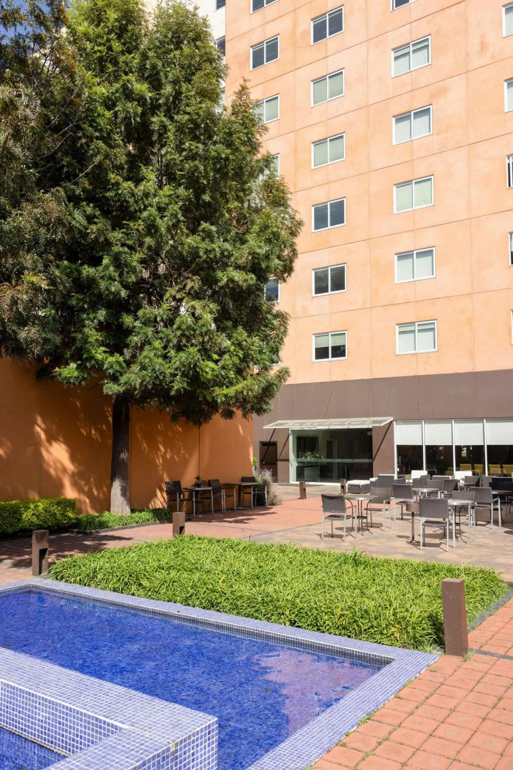 Other in Courtyard Toluca Tollocan