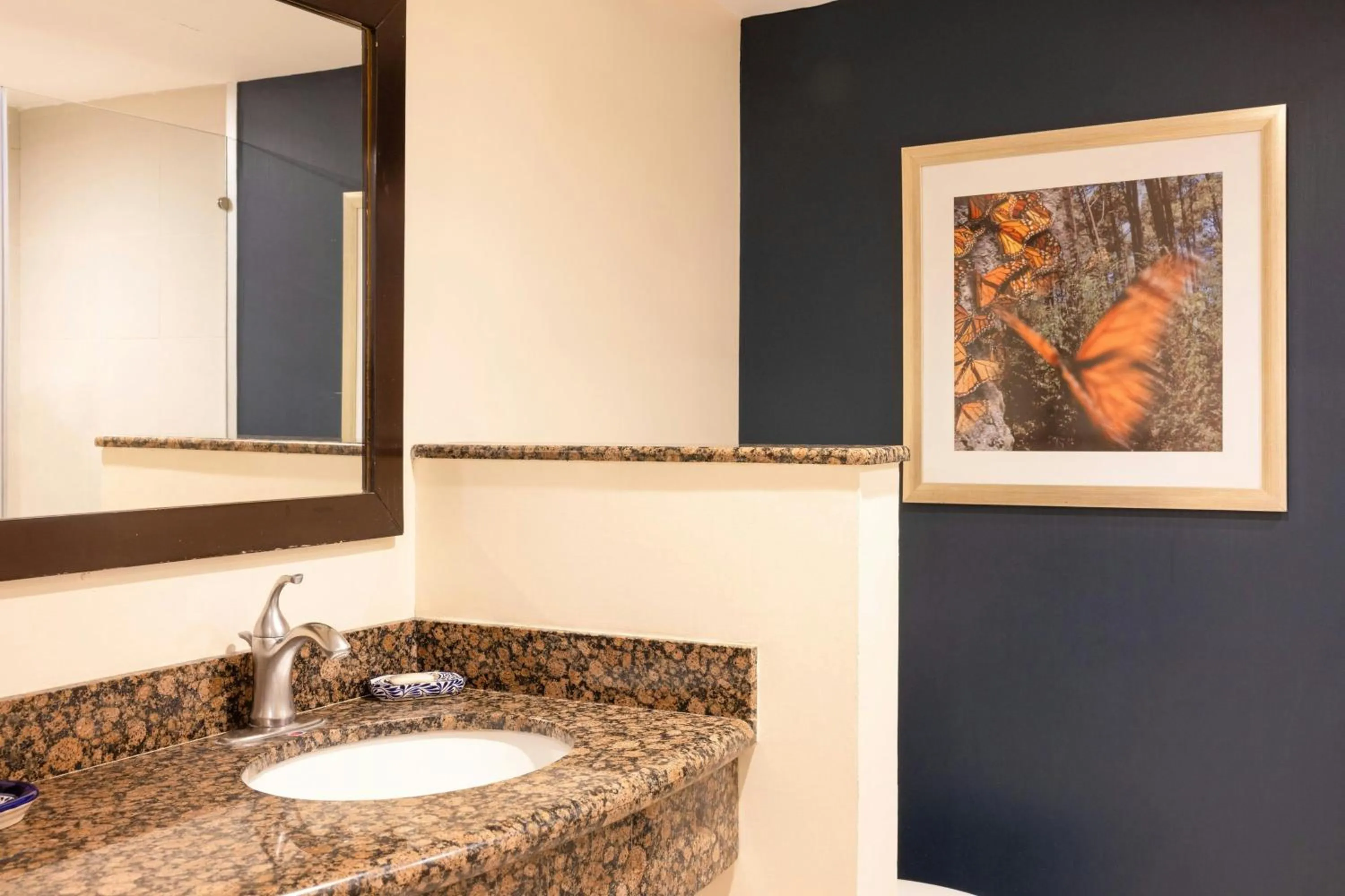 Bathroom in Courtyard Toluca Tollocan