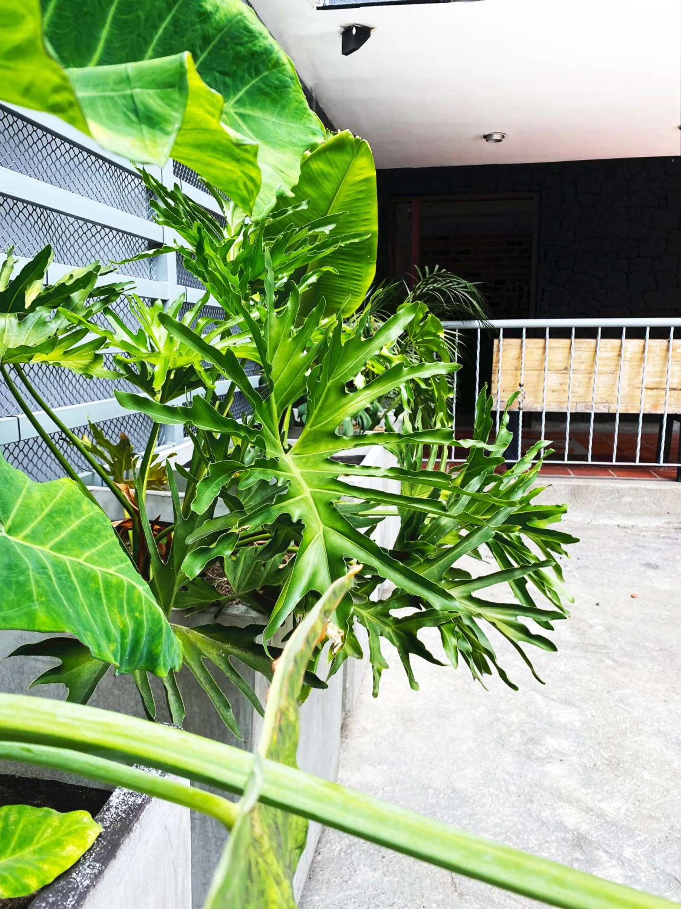 Facade/entrance in Ayenda 1224 Pixel House