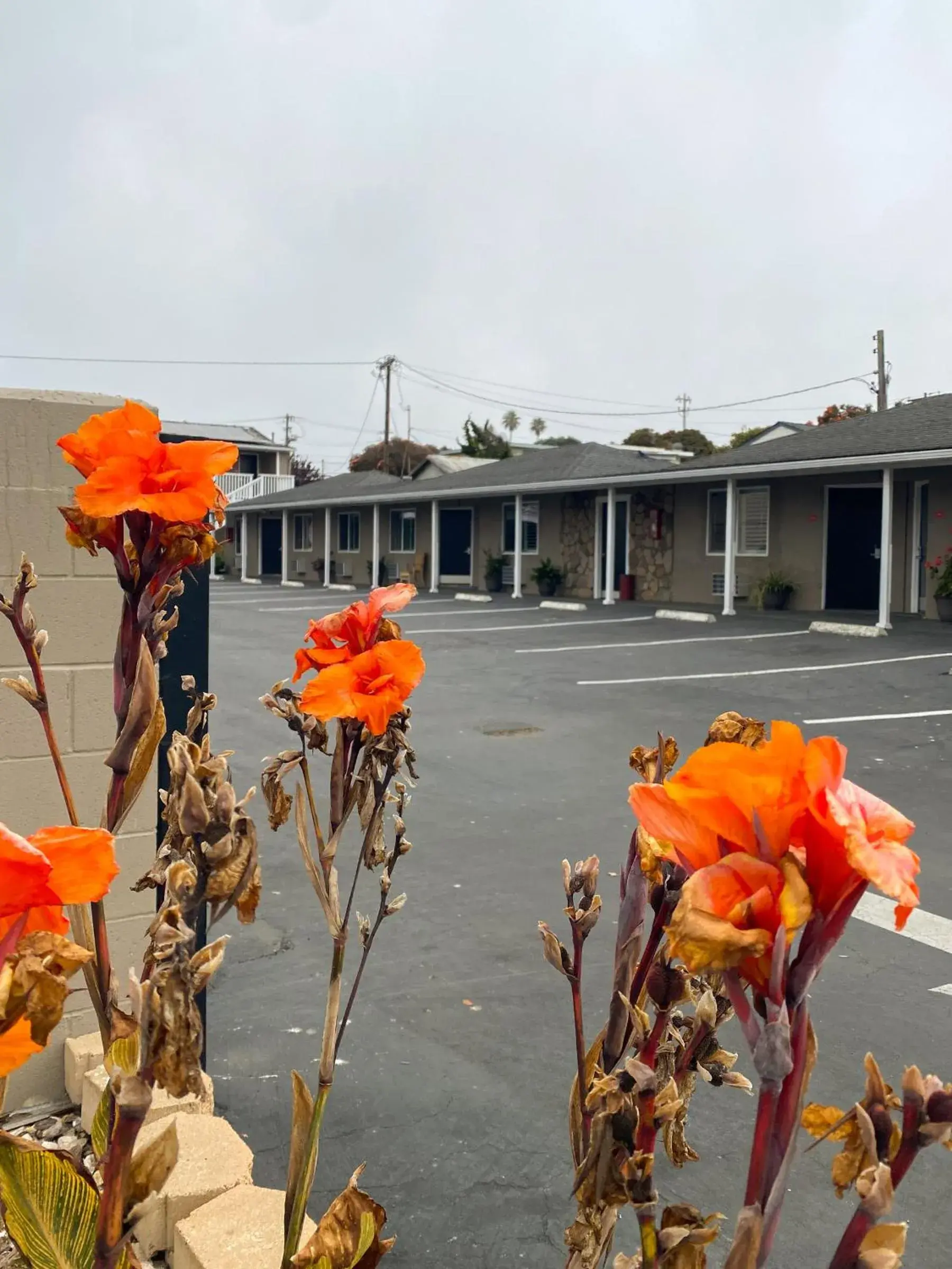 Property building in Rockview Inn and Suites Property building in Rockview Inn and Suites