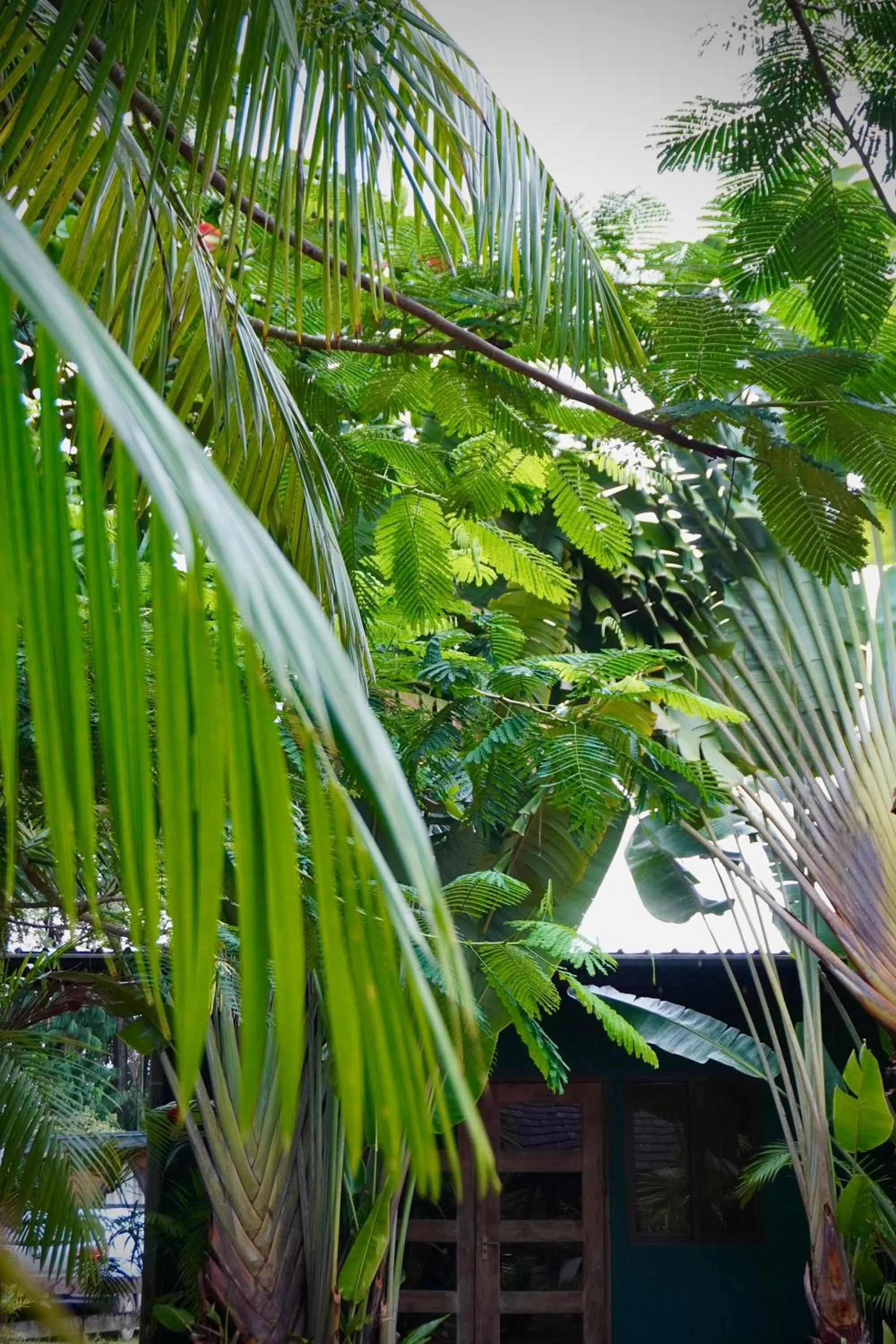 Garden in Houttuyn Wellness River Resort