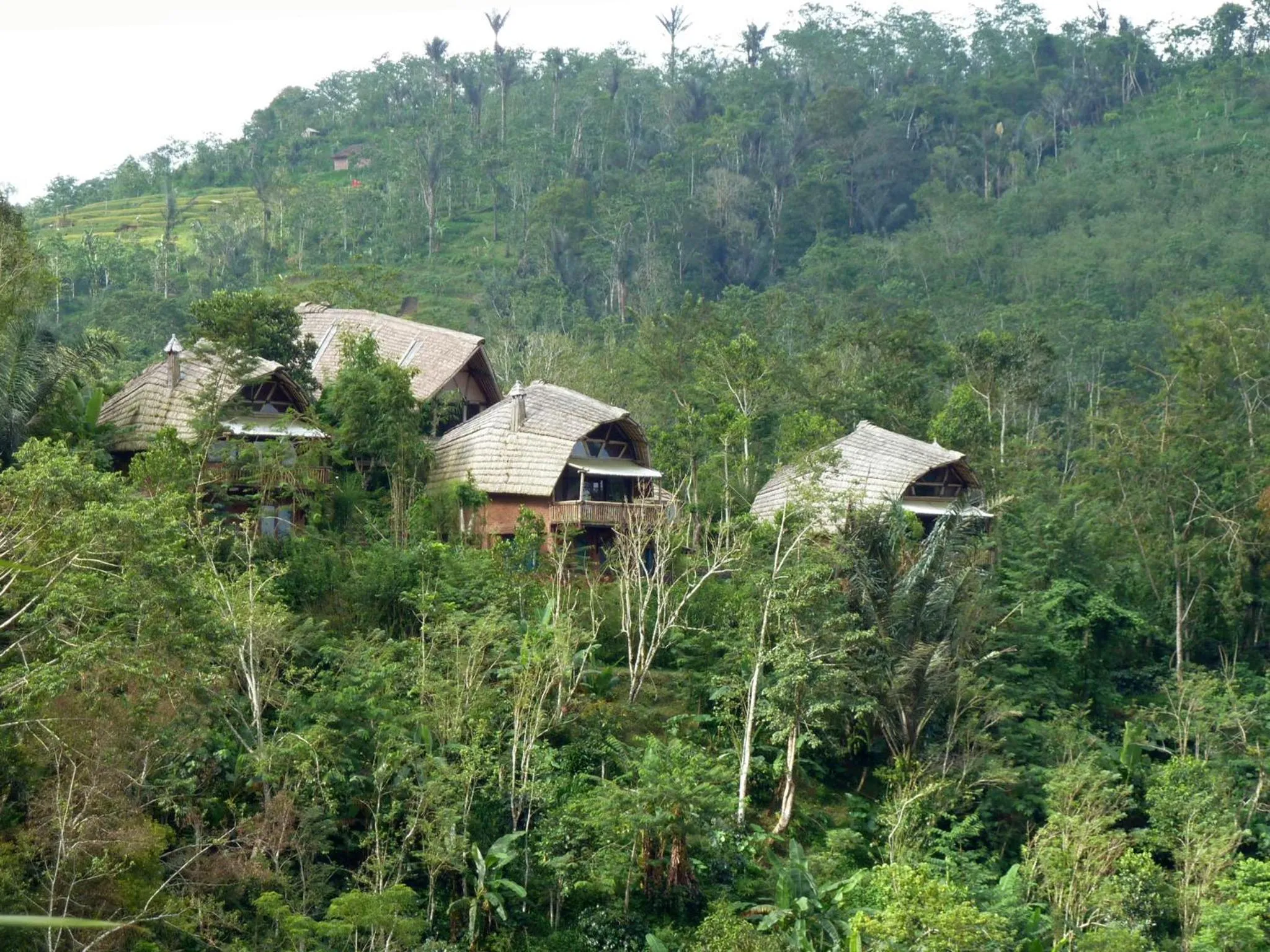 Photo of the whole room in Bali Eco Village