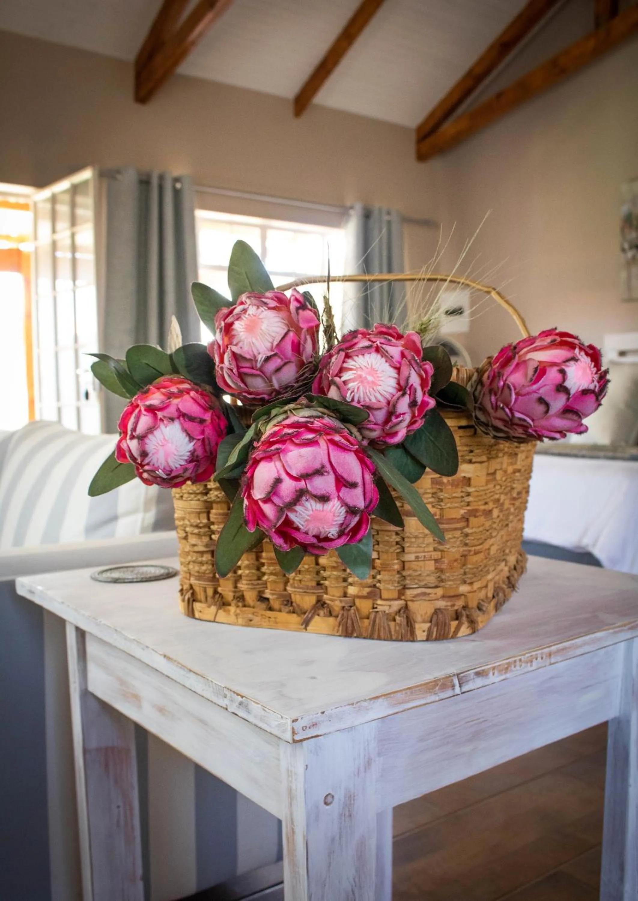 Summer in Modern Farm