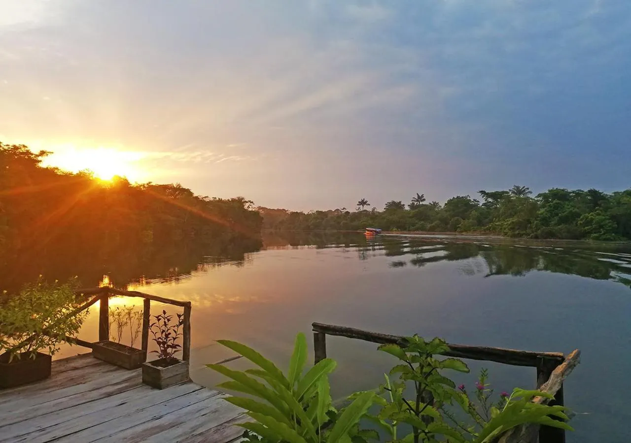 Natural landscape in Amazon Oasis Floating Lodge