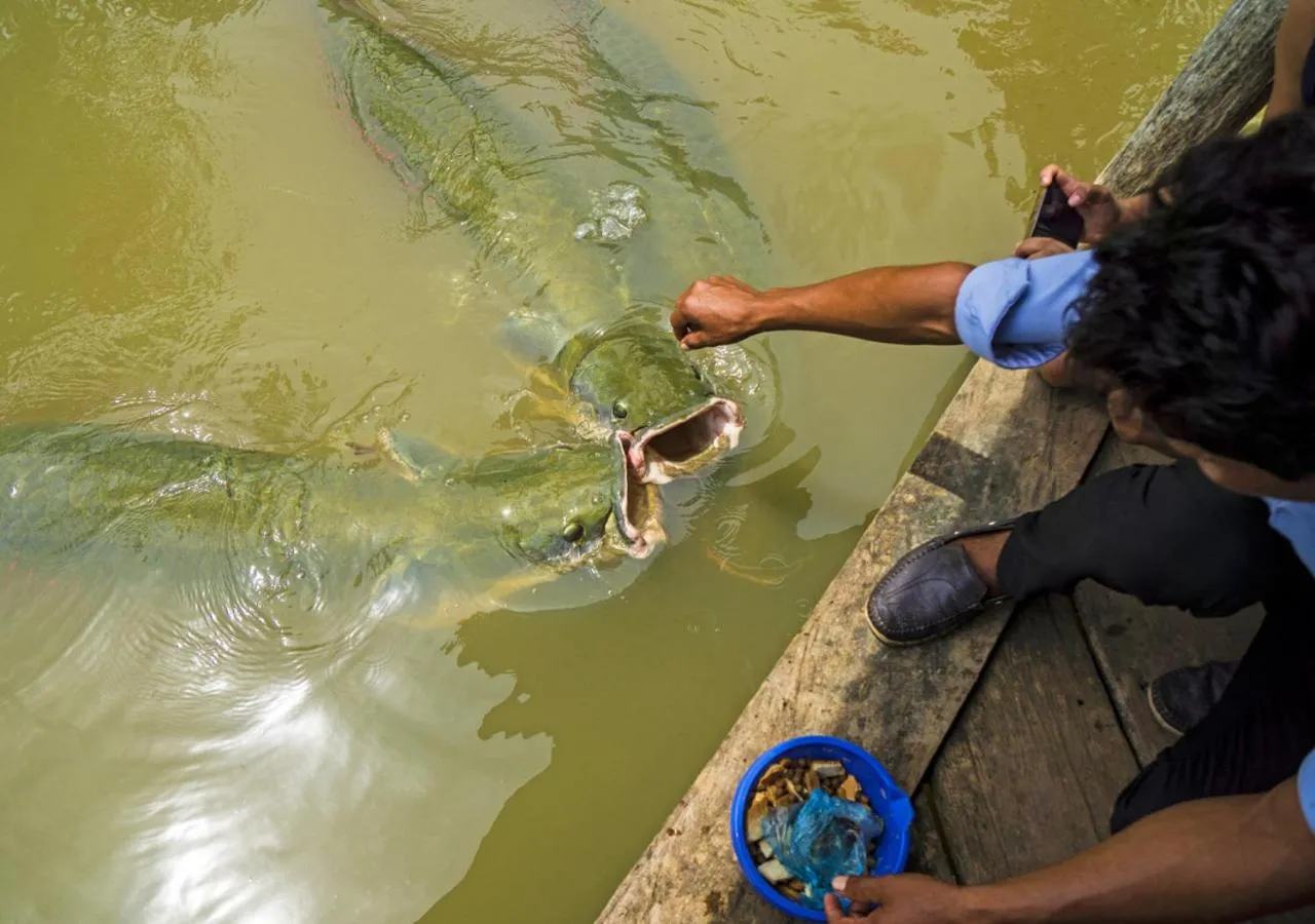 Staff in Amazon Oasis Floating Lodge