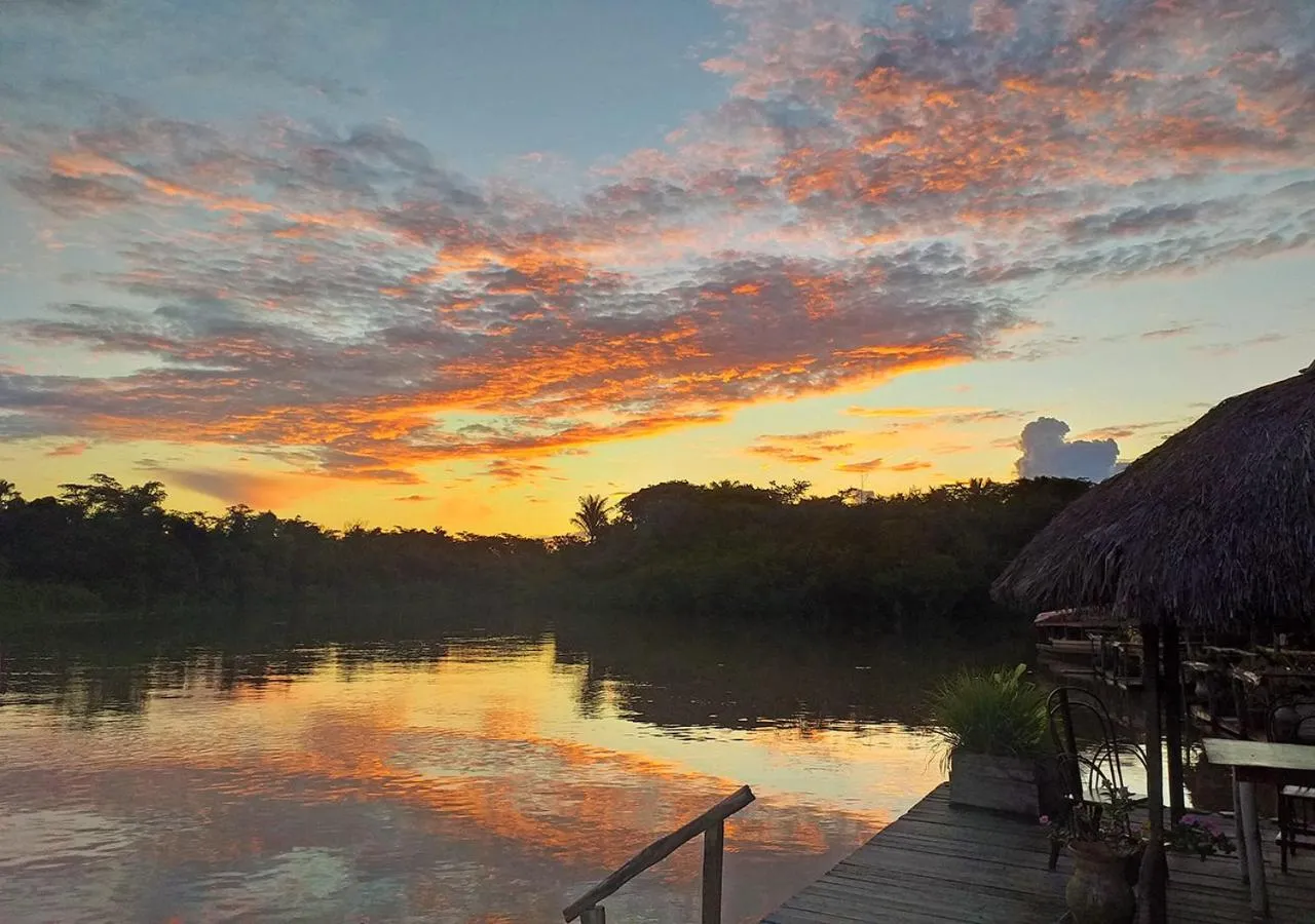 Natural landscape in Amazon Oasis Floating Lodge