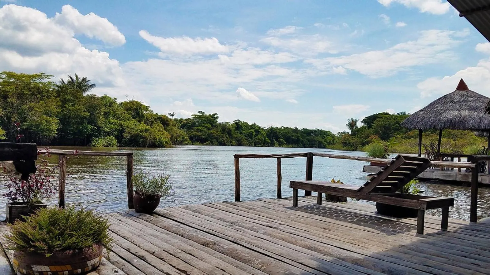 Natural landscape in Amazon Oasis Floating Lodge