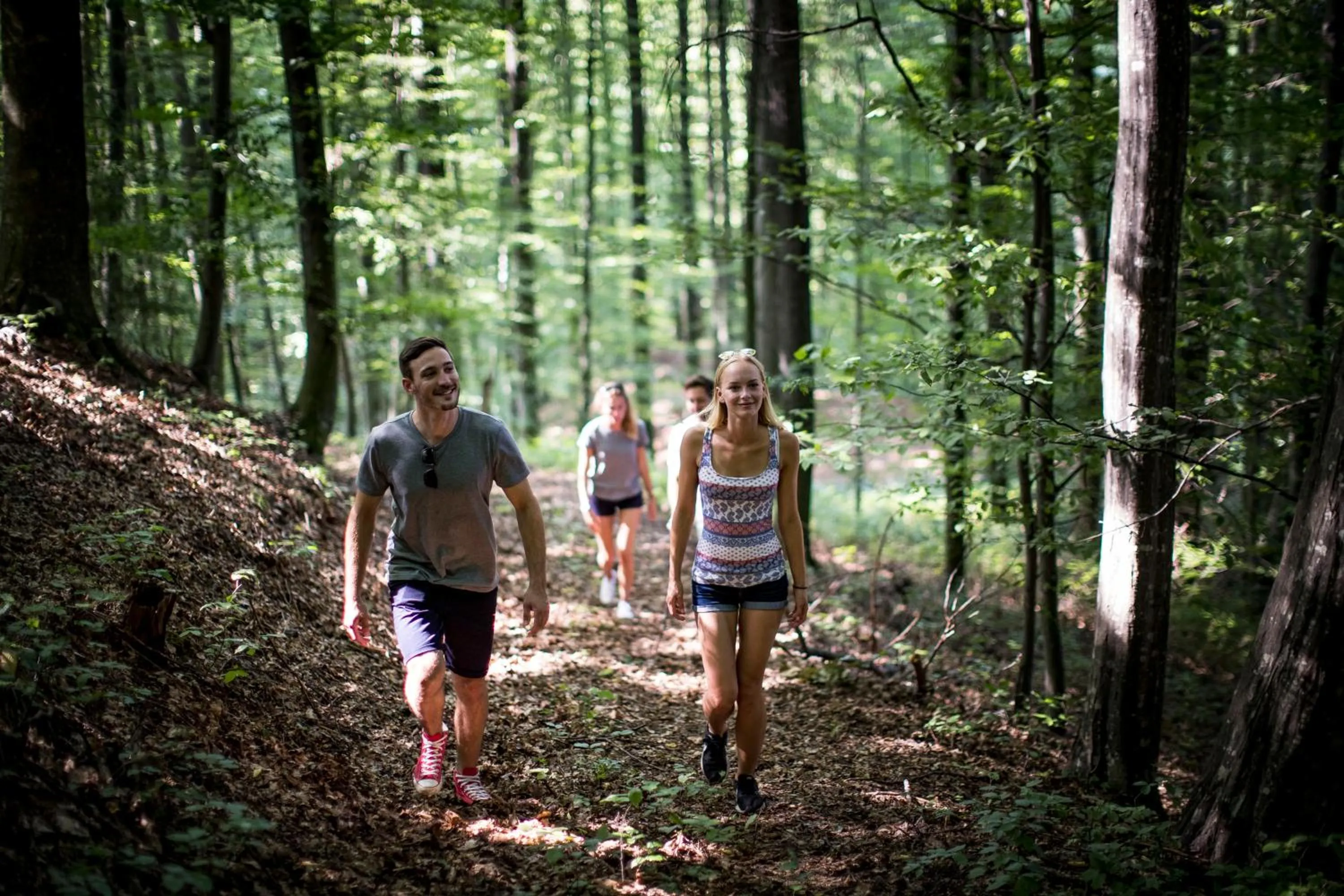 Hiking in Gasthof Martinhof