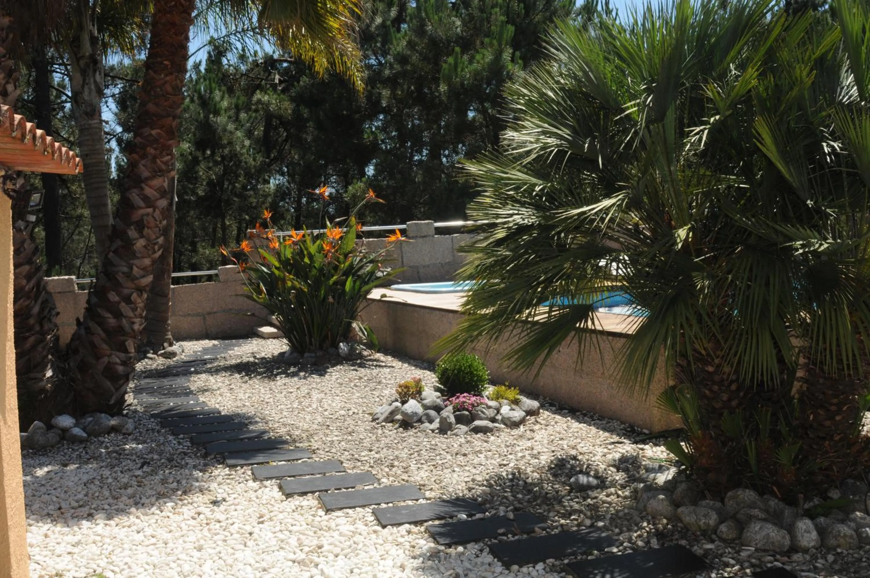 Garden in Villa Cuesta