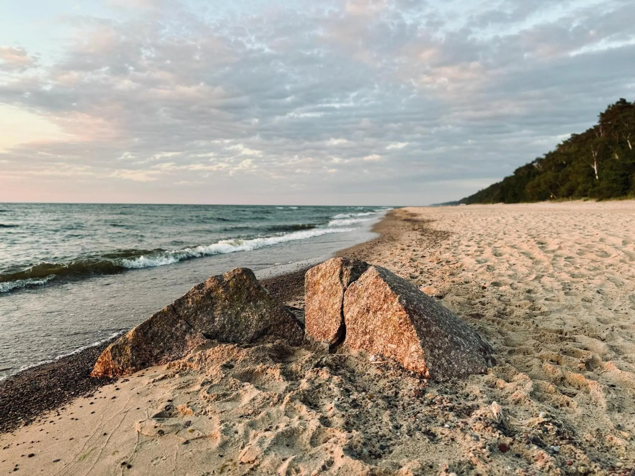 Natural landscape in Willa Marlin