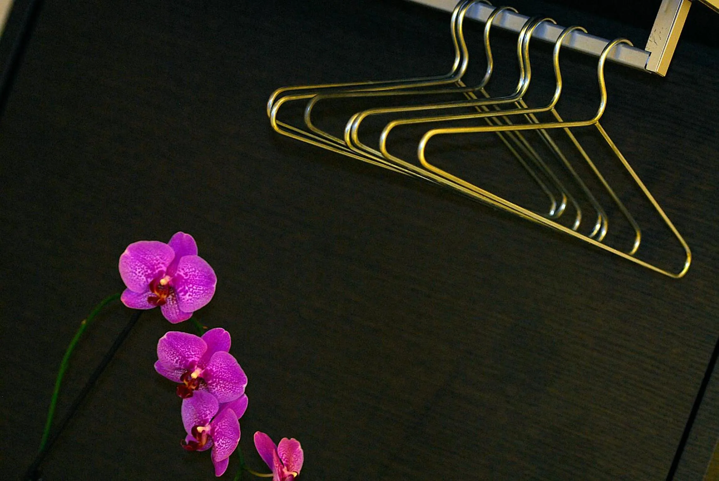 Other in B&B Best Pantheon