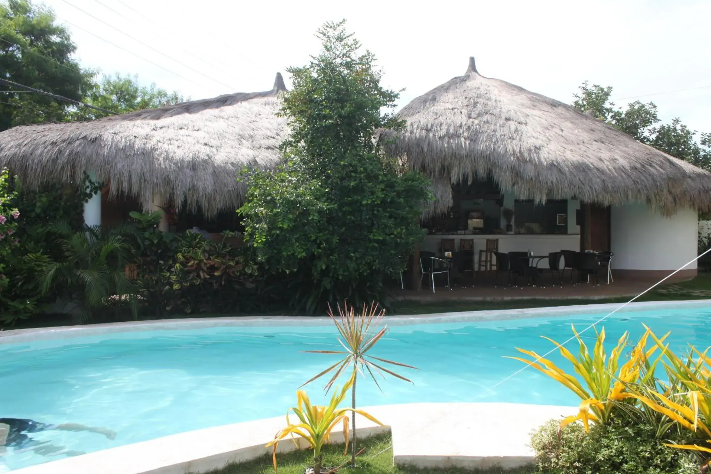 Lounge or bar in Vanilla Sky Dive Resort Lounge or bar in Vanilla Sky Dive Resort