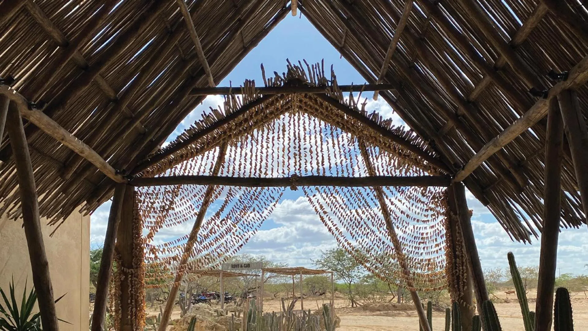 Day in Hotel Wayira Beach