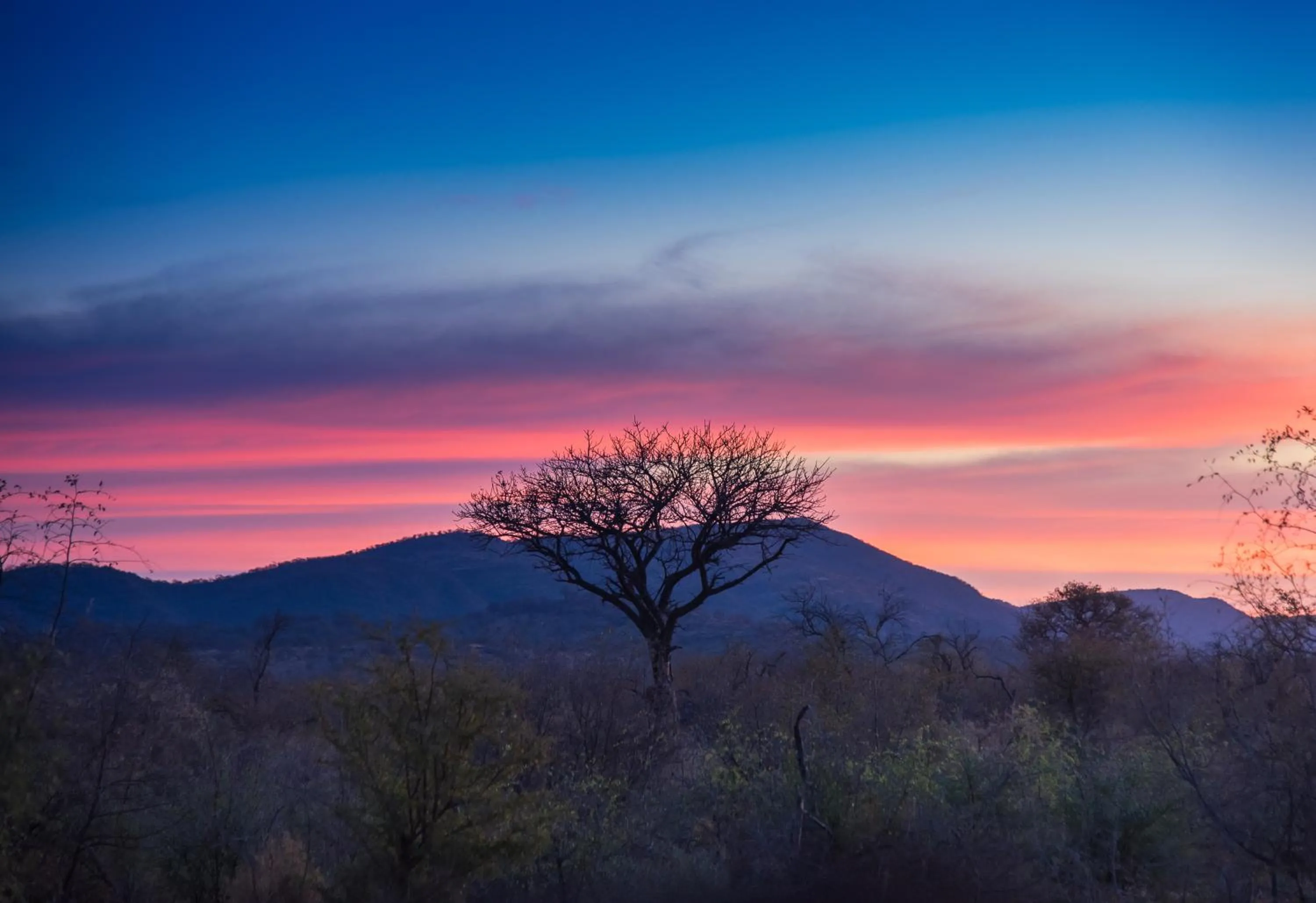 Natural landscape in Rockfig Lodge Madikwe