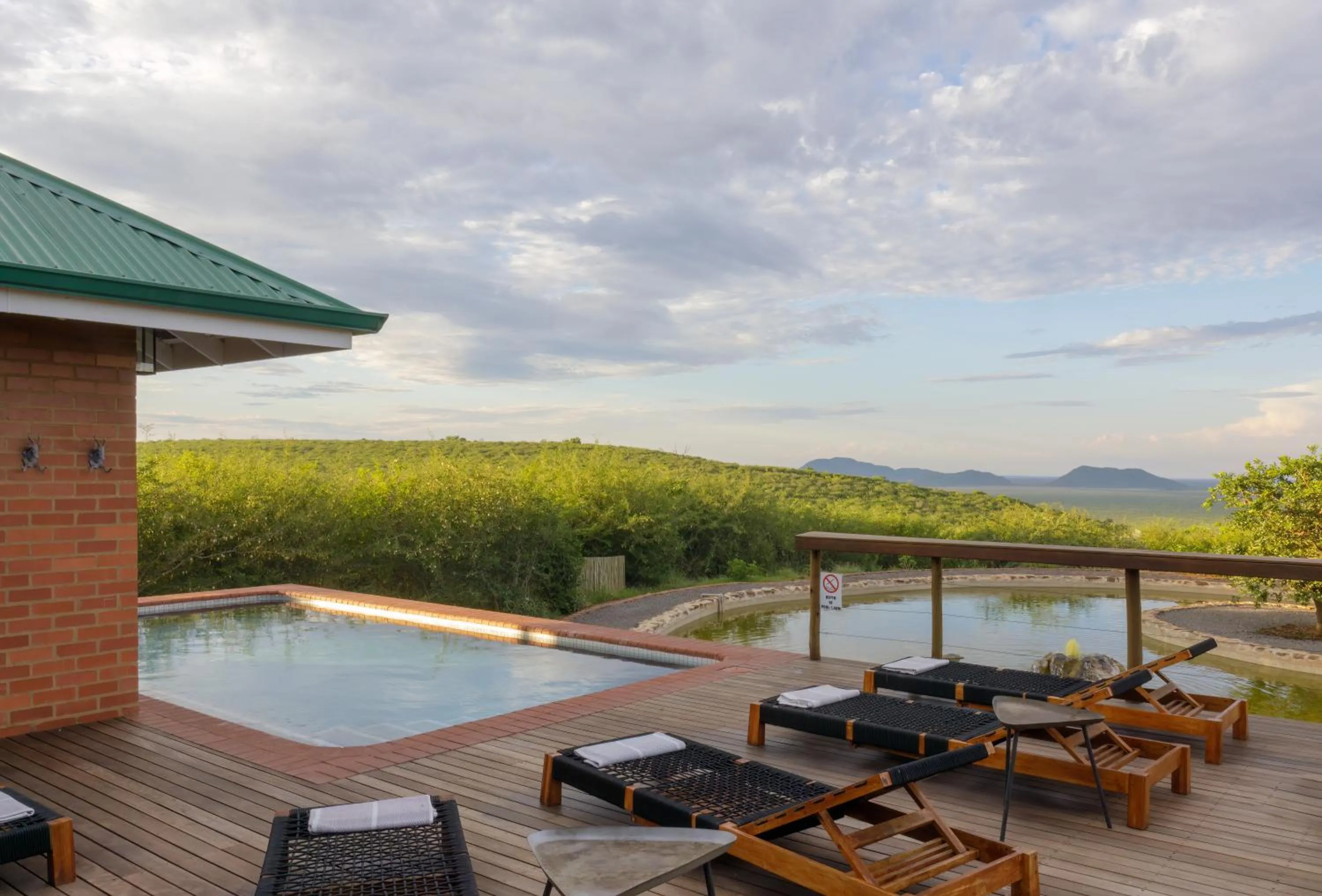 Swimming pool in Rockfig Lodge Madikwe