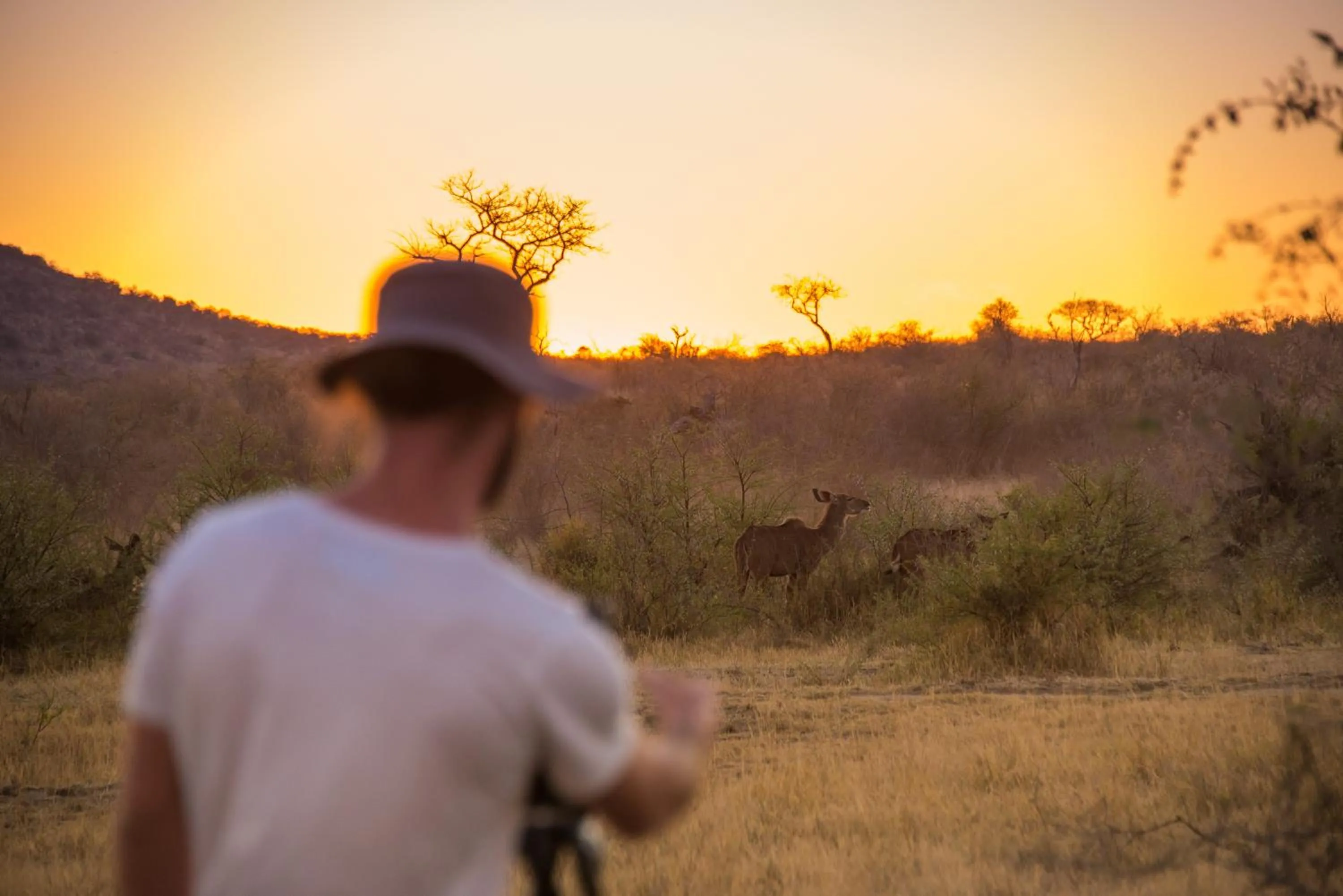 People in Rockfig Lodge Madikwe