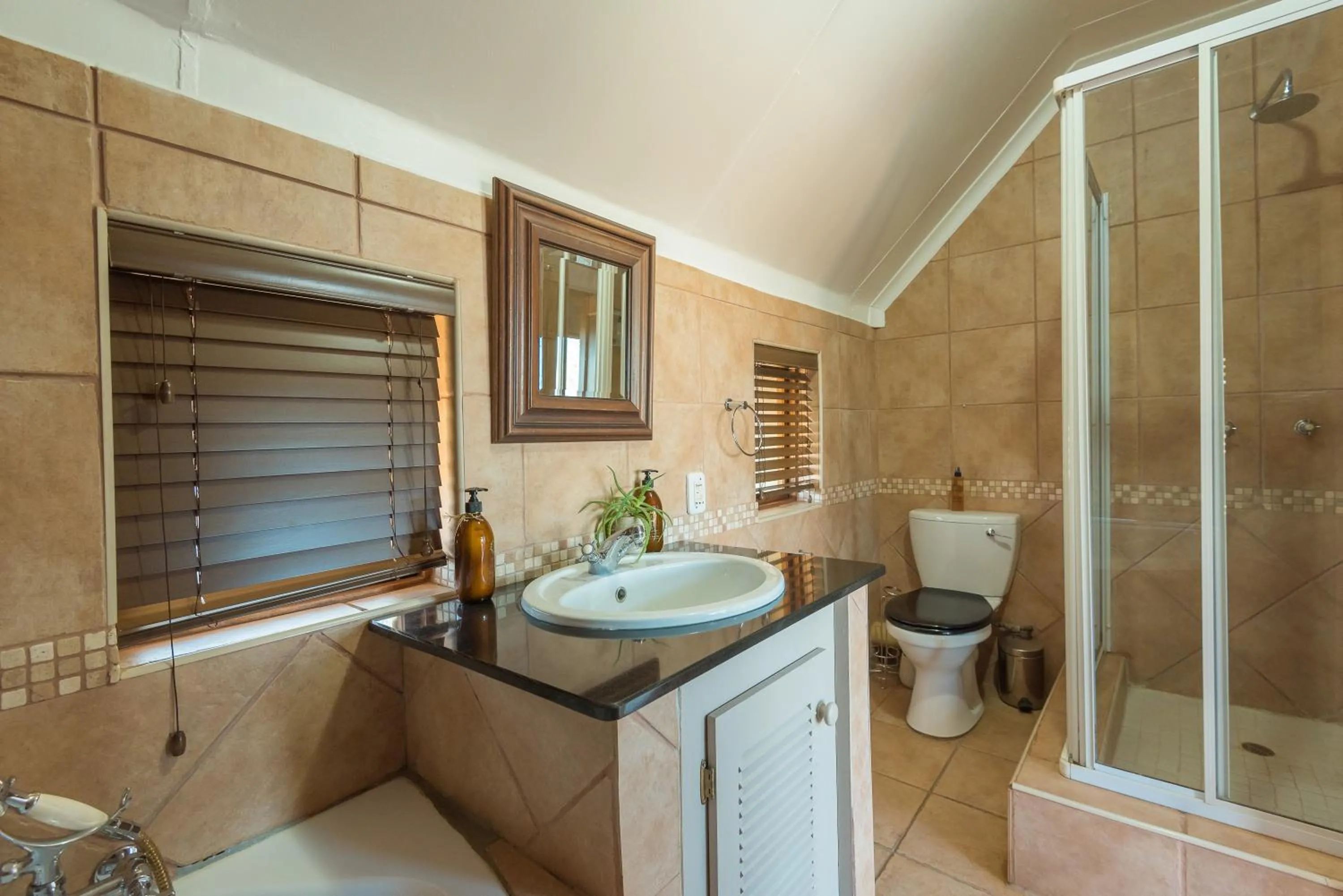 Shower in Rockfig Lodge Madikwe