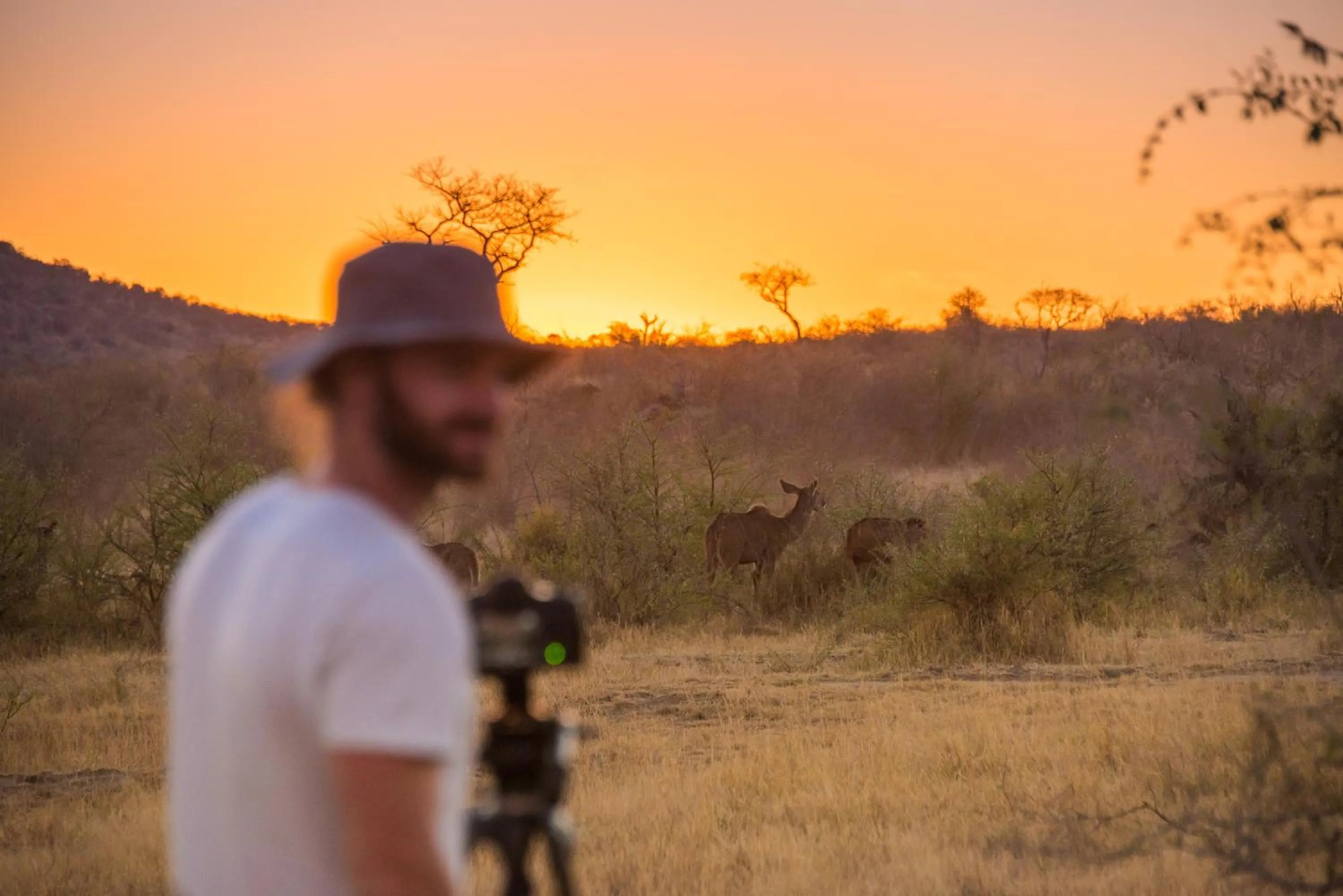 Natural landscape in Rockfig Lodge Madikwe