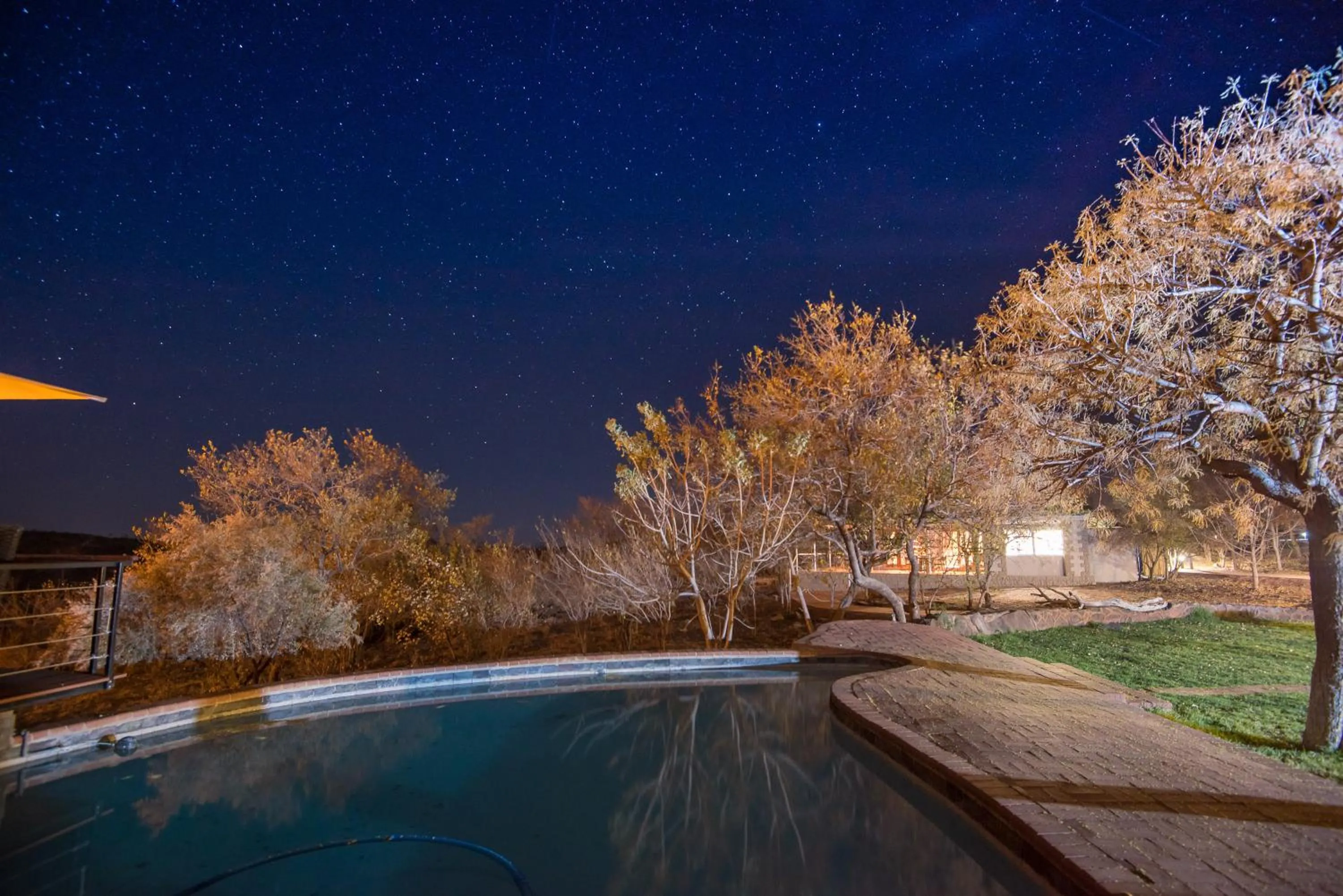 Swimming pool in Rockfig Lodge Madikwe