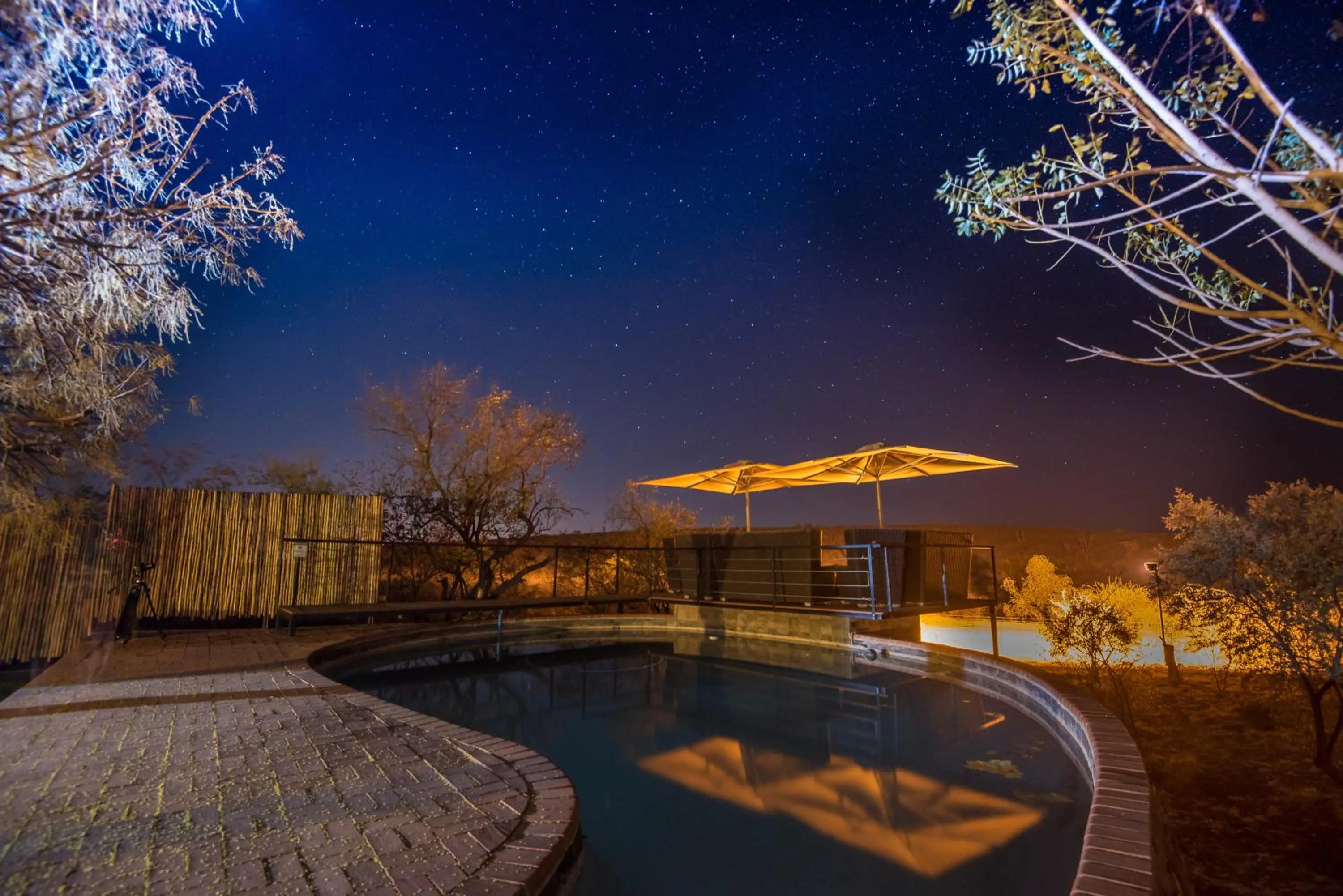 Swimming pool in Rockfig Lodge Madikwe