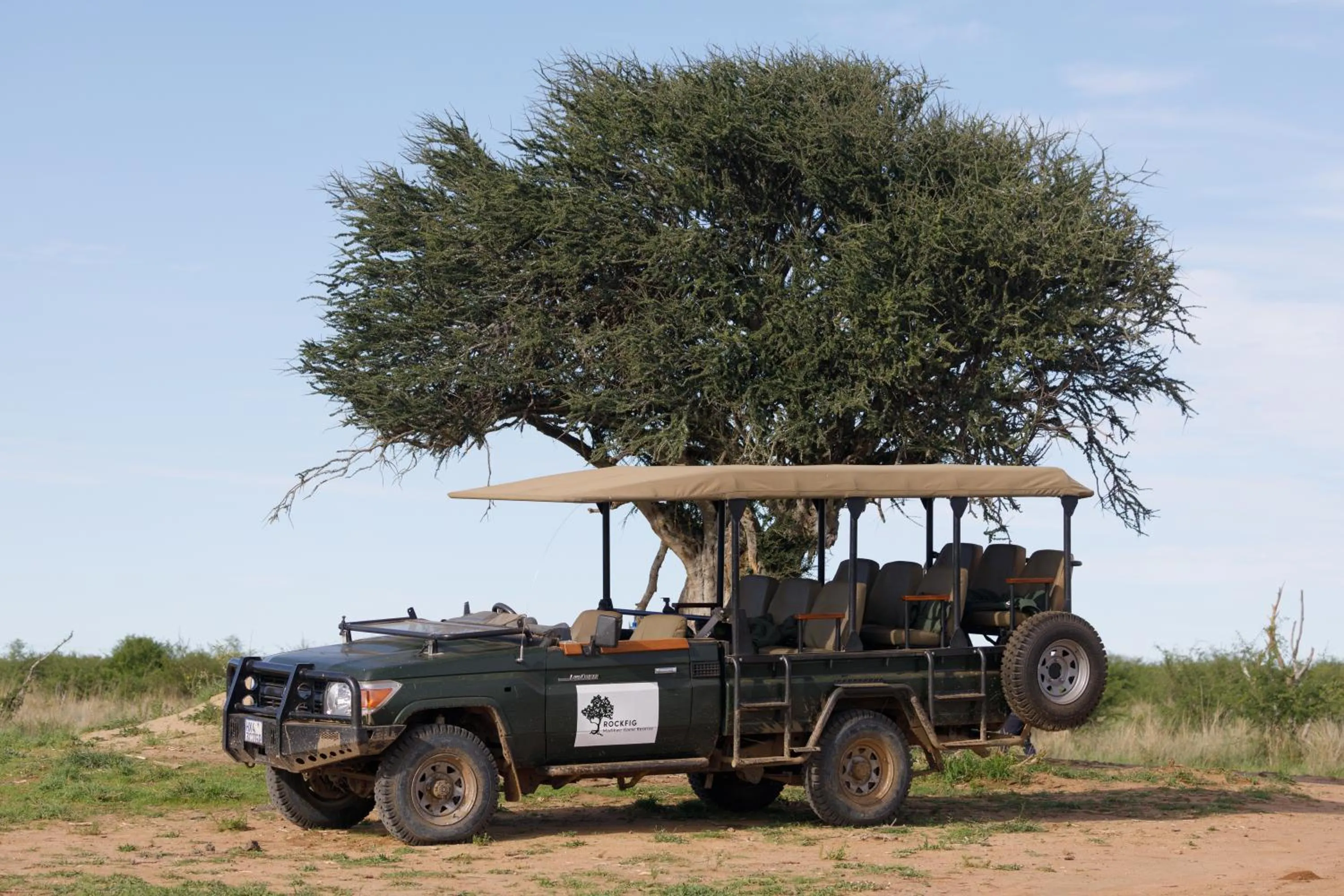 Restaurant/places to eat in Rockfig Lodge Madikwe