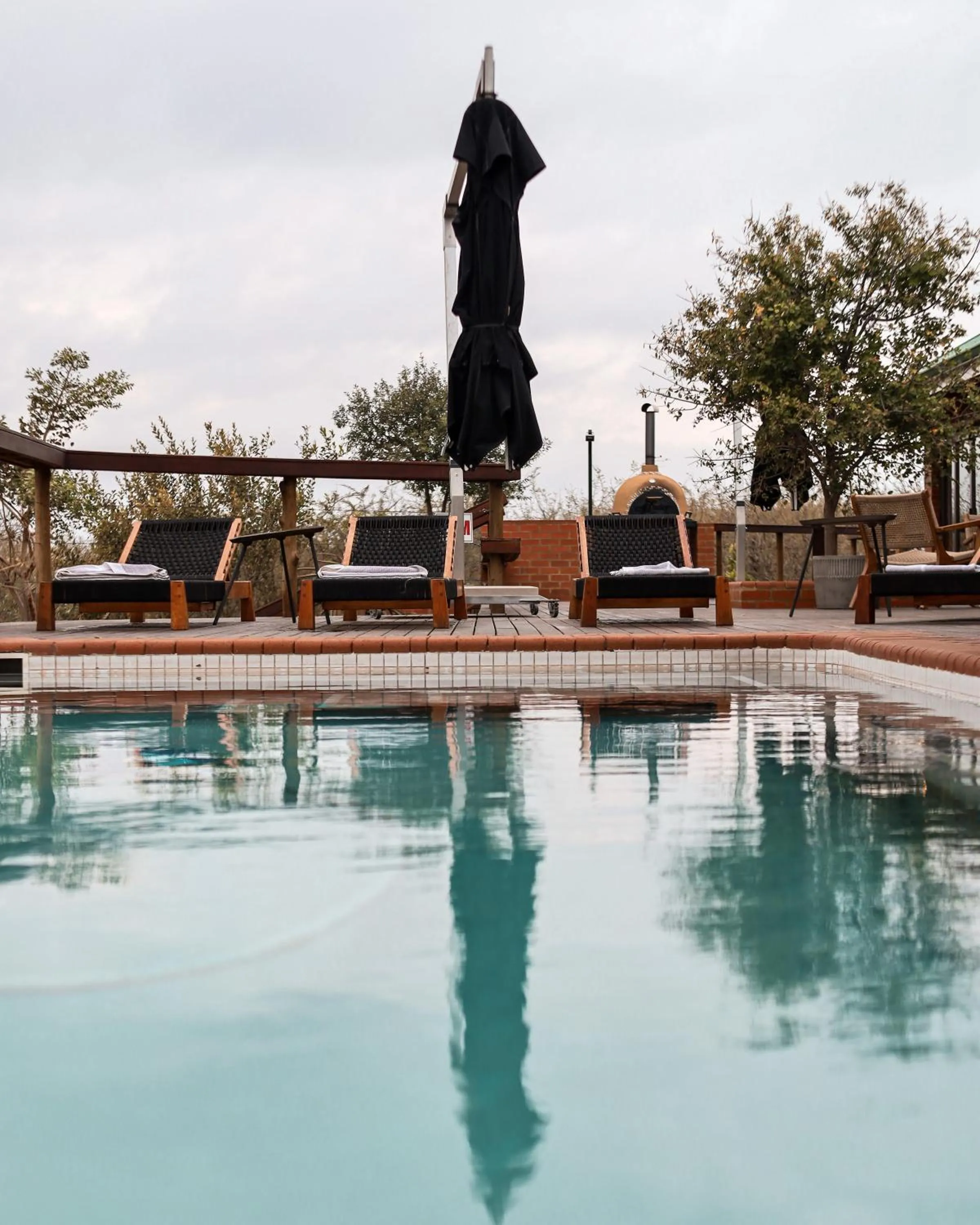 Swimming pool in Rockfig Lodge Madikwe