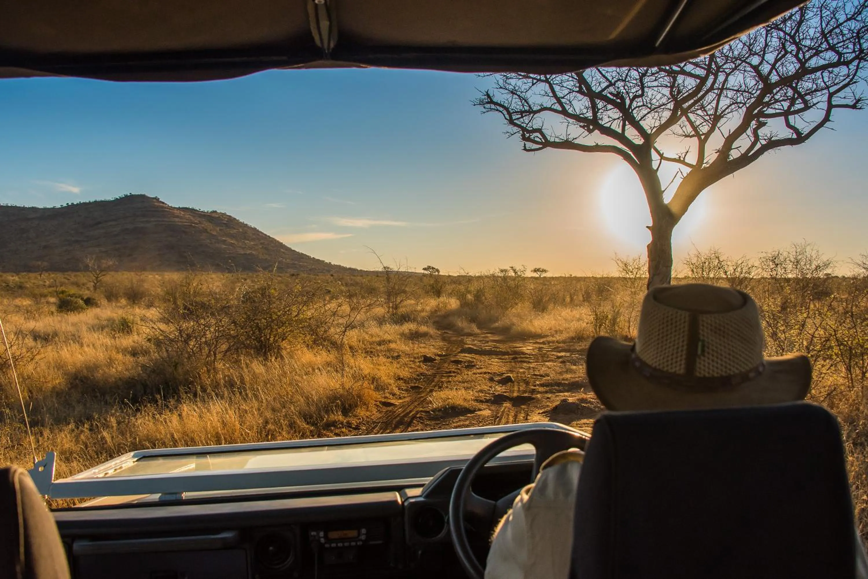 Natural landscape in Rockfig Lodge Madikwe
