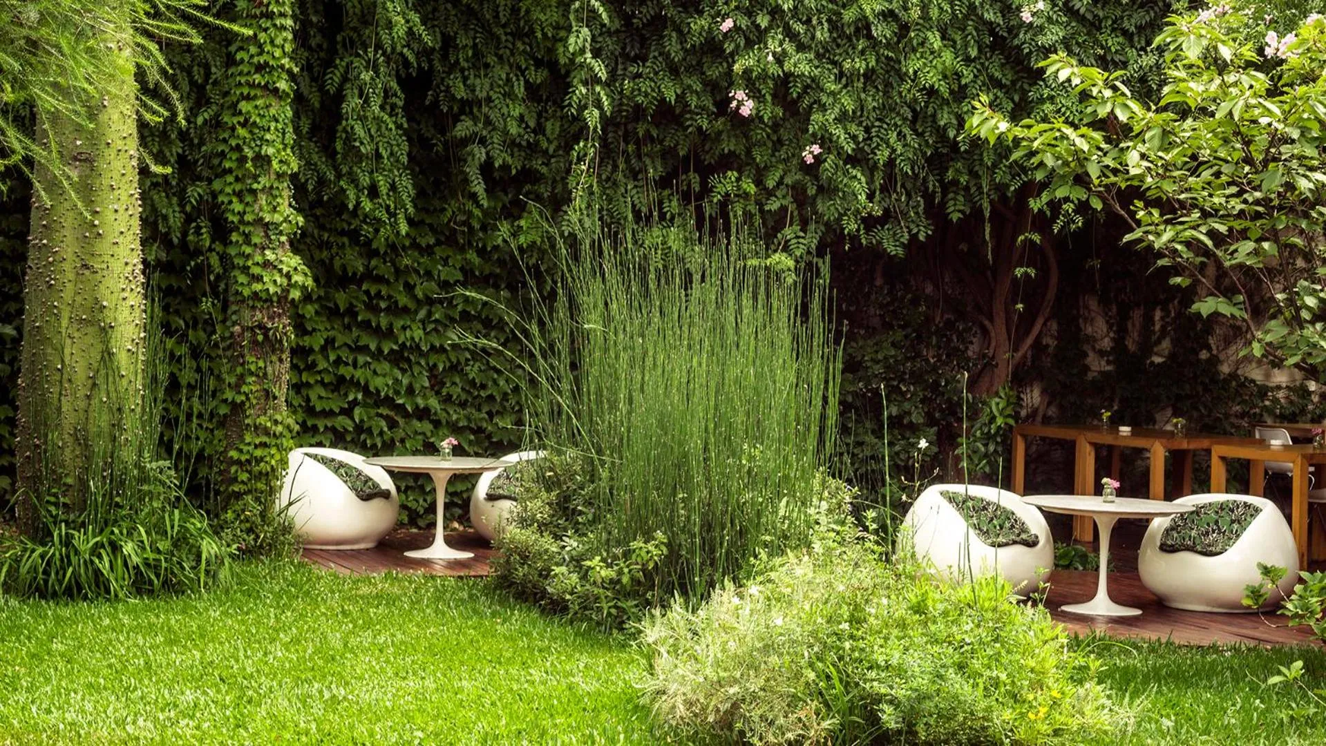 Restaurant/places to eat in Home Hotel