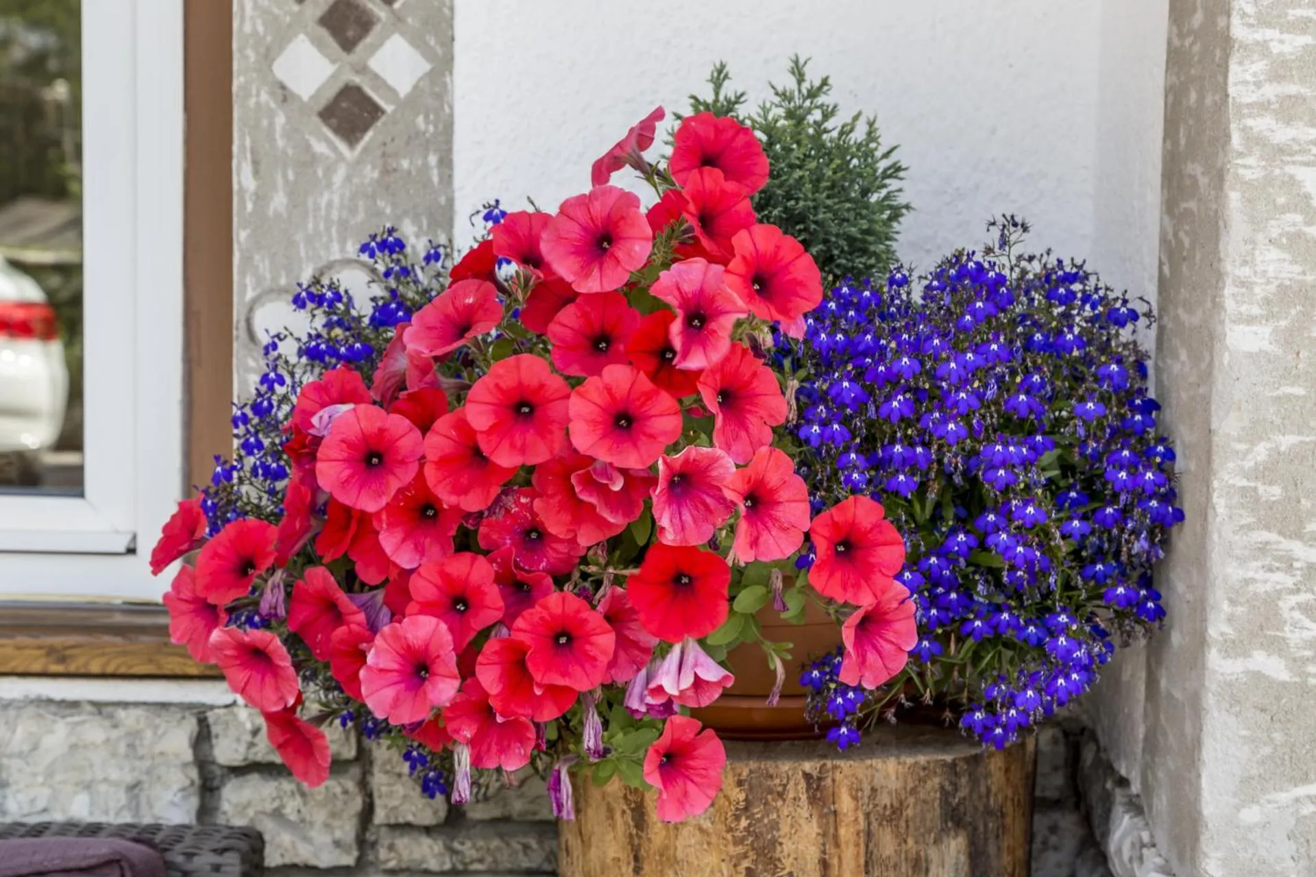 Decorative detail in Garni Jasmin
