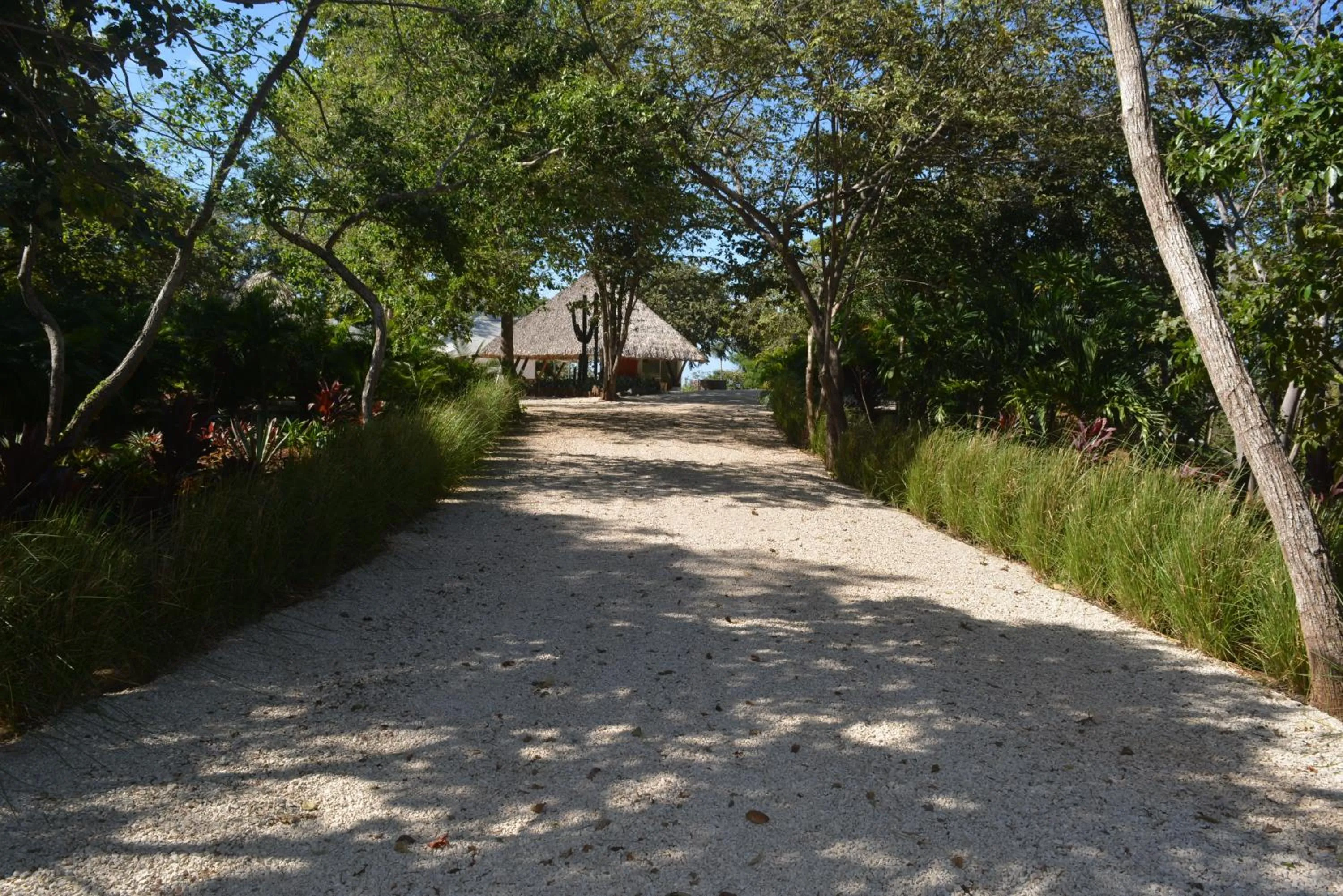 Lobby or reception in Mikado Natural Lodge