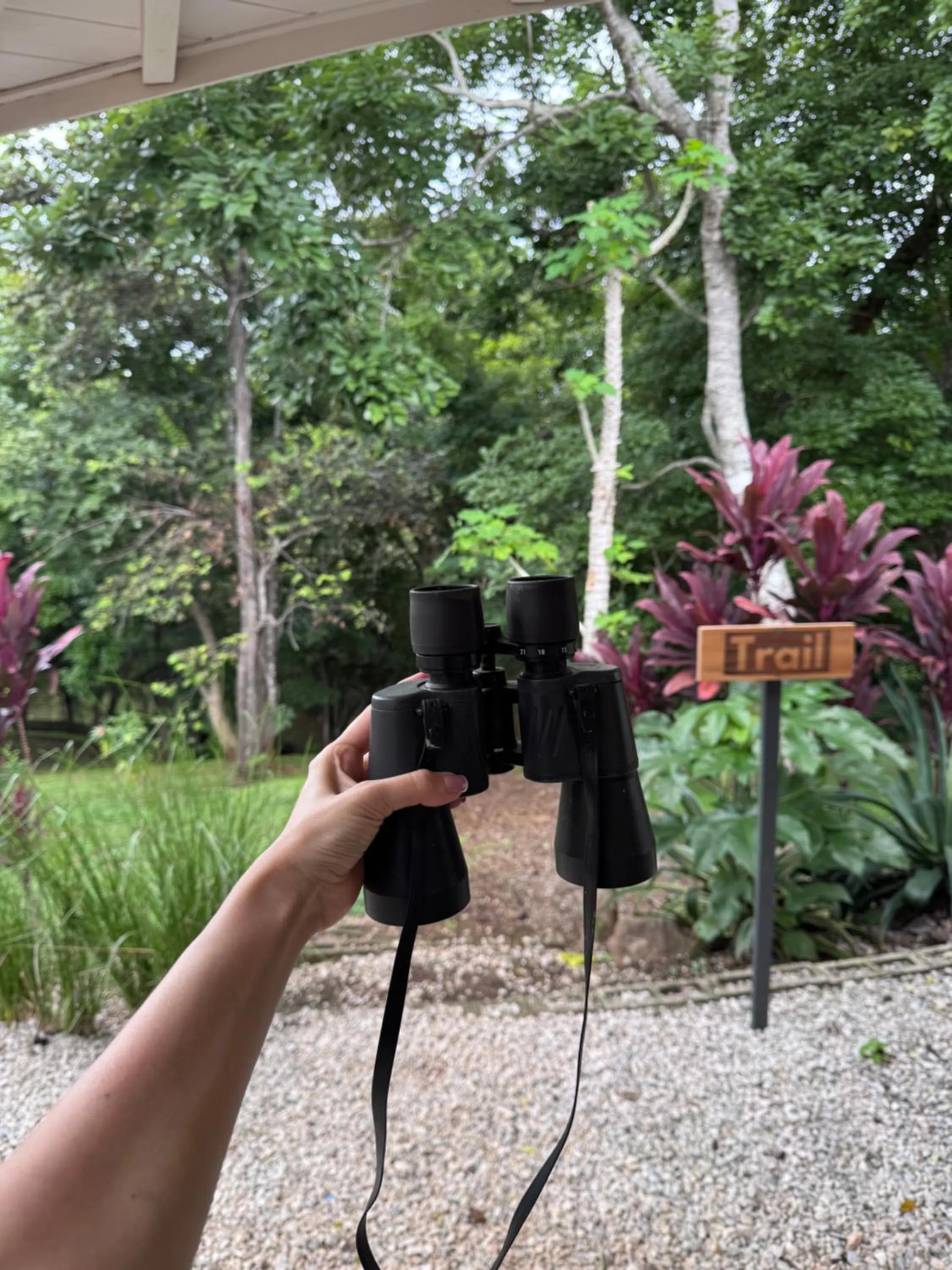 Property building in Mikado Natural Lodge