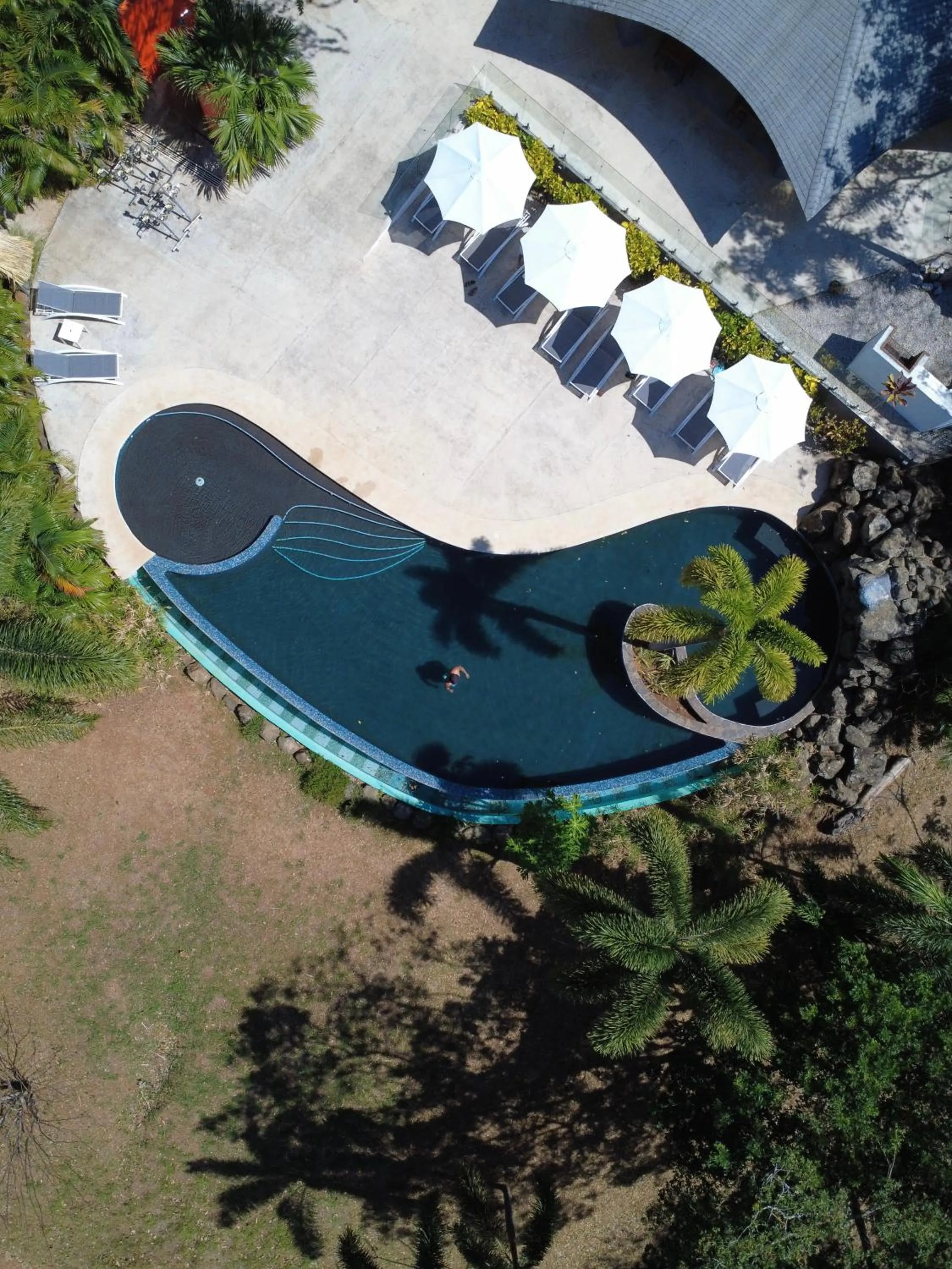 Pool view in Mikado Natural Lodge