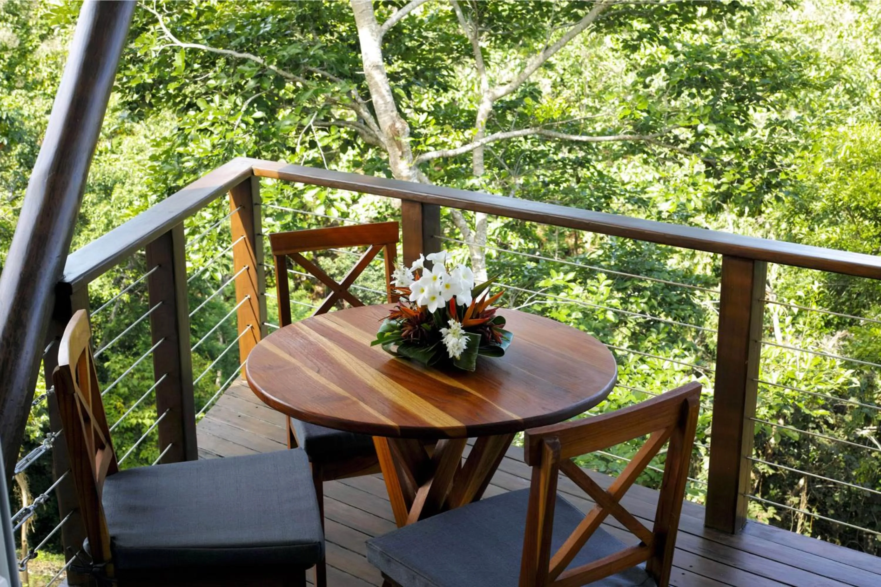 Balcony/Terrace in Mikado Natural Lodge