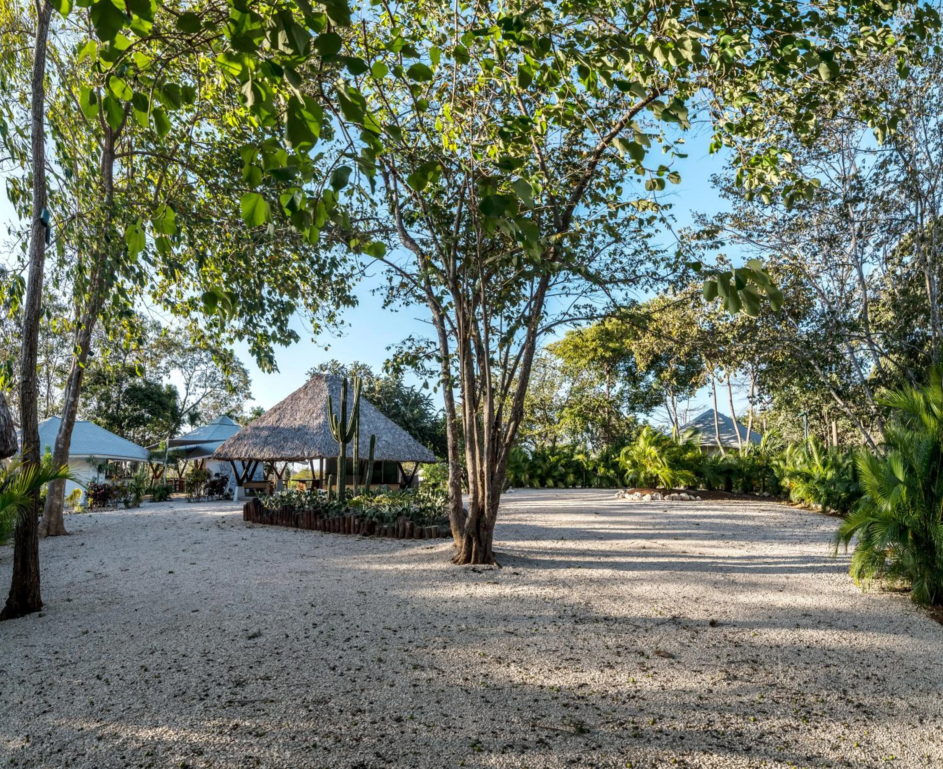 Property building in Mikado Natural Lodge