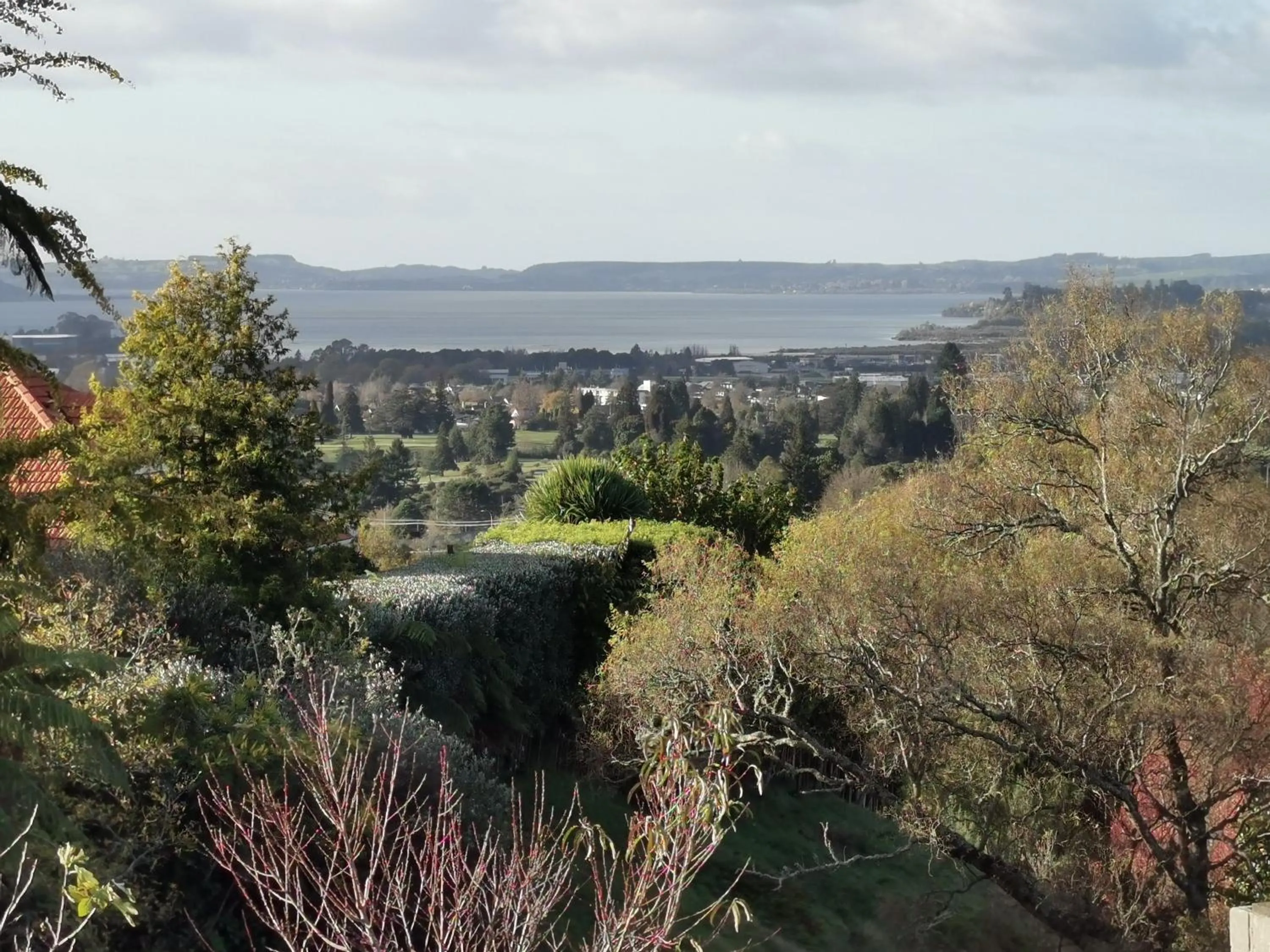 View (from property/room) in Geyser Lookout BnB