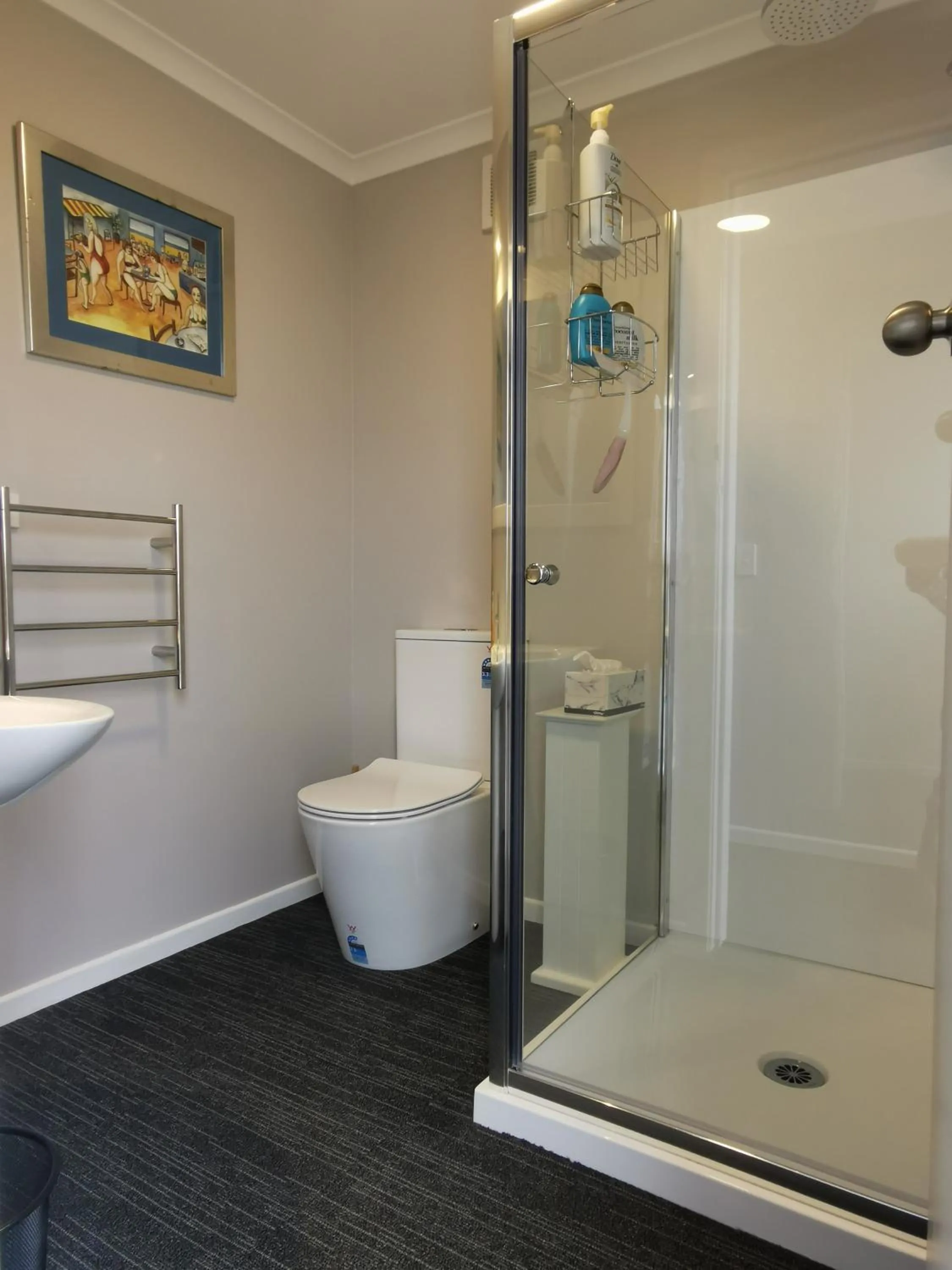 Bathroom in Geyser Lookout BnB