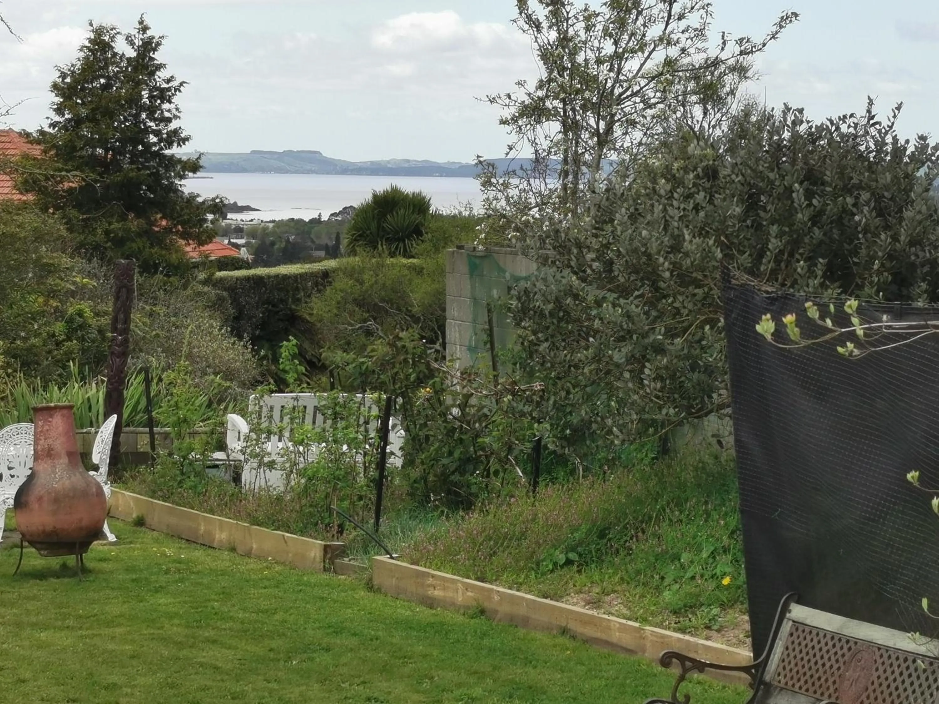 View (from property/room) in Geyser Lookout BnB