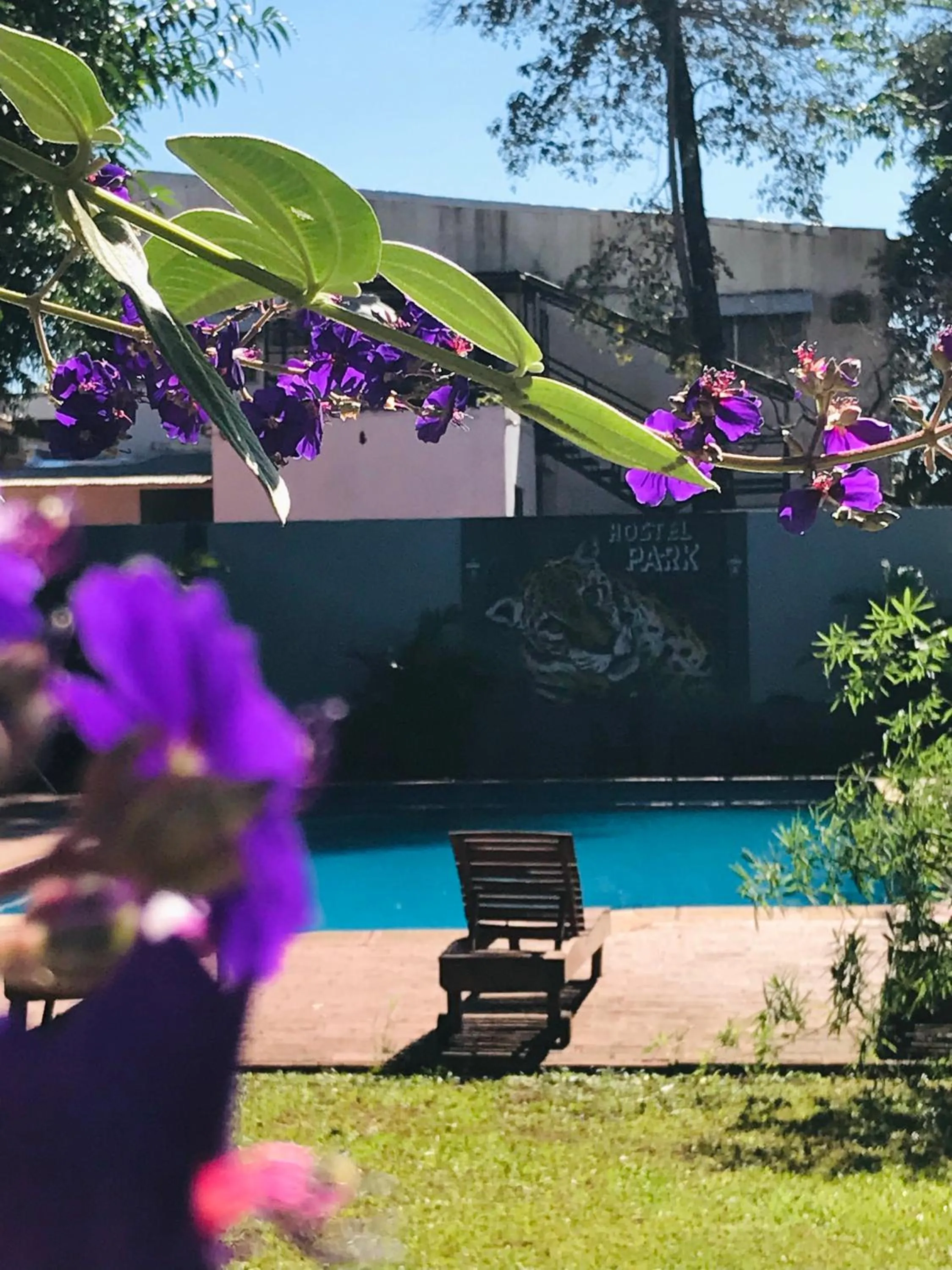 Garden in Hostel Park Iguazu