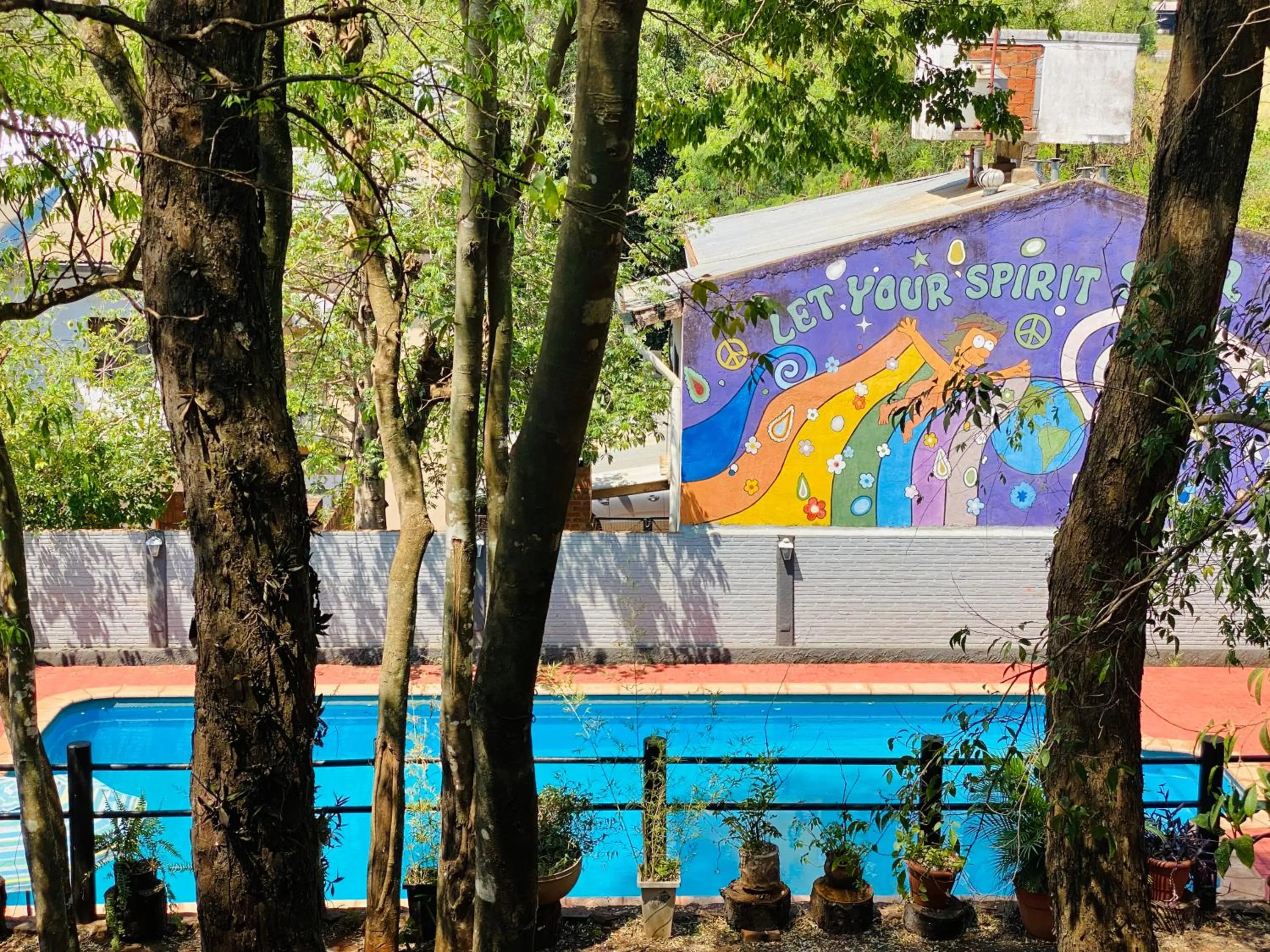 Garden in Hostel Park Iguazu