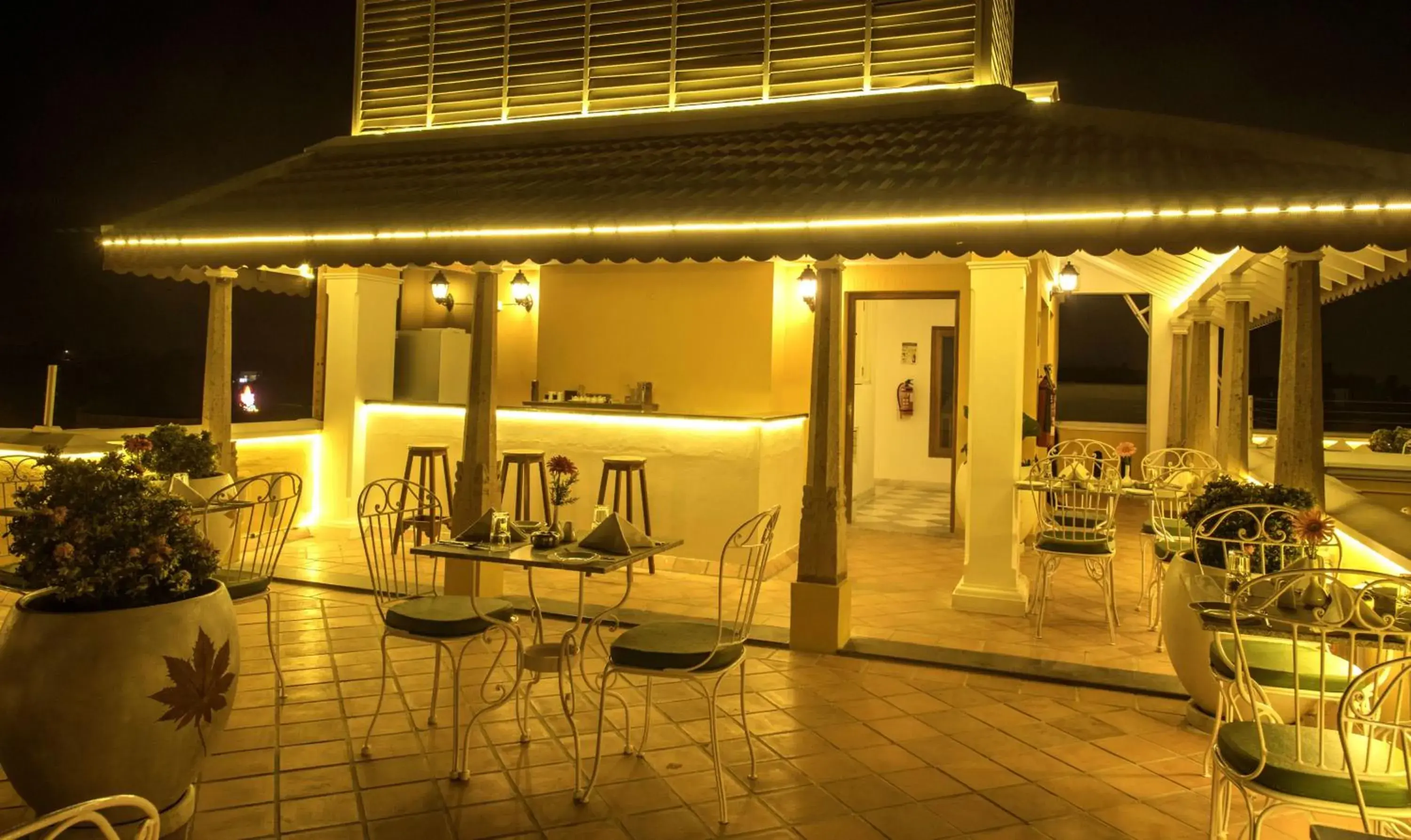 Restaurant/places to eat in Petit Palais Restaurant/places to eat in Petit Palais