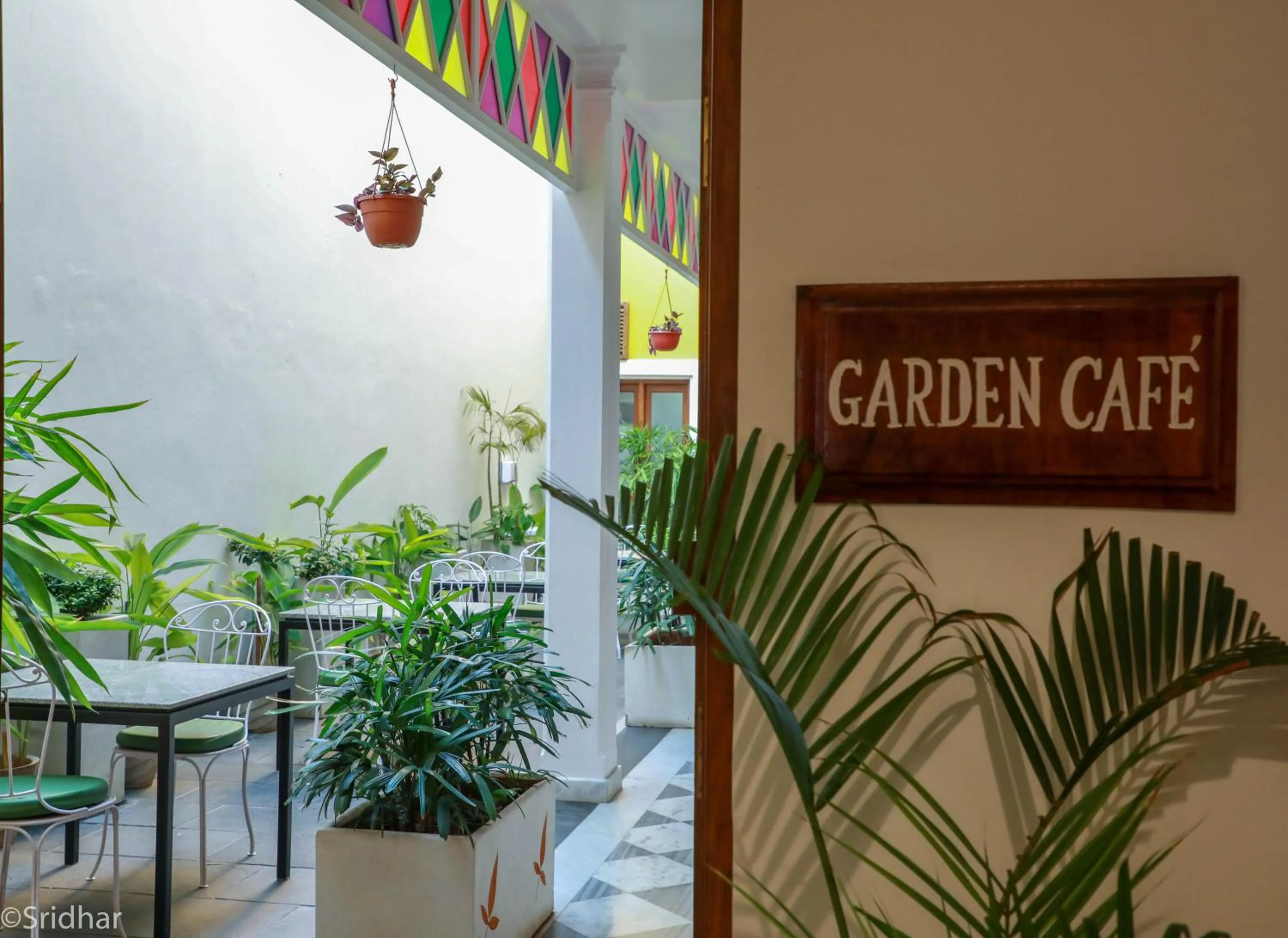 Garden in Petit Palais