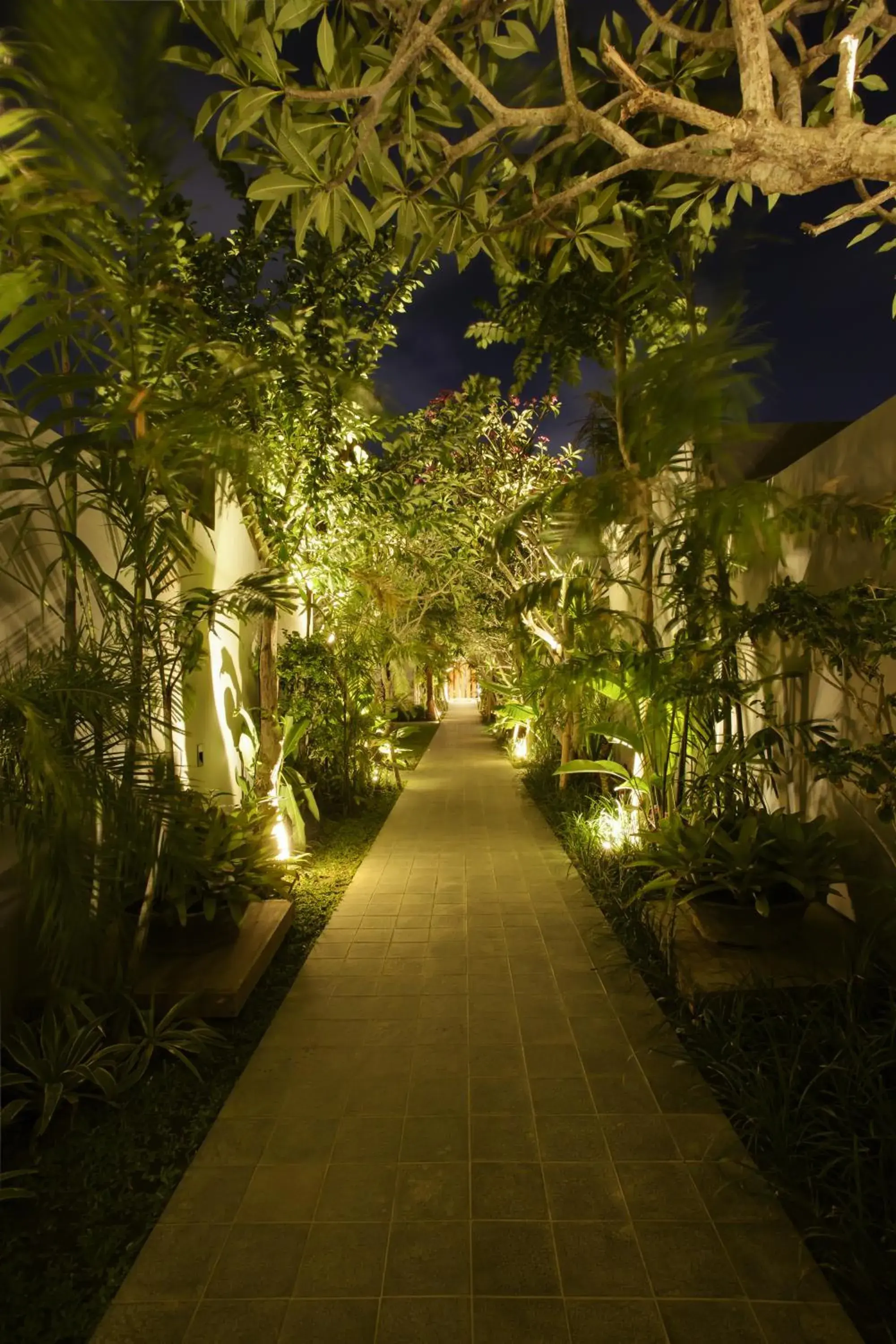 Facade/entrance in KoenoKoeni Villa Facade/entrance in KoenoKoeni Villa
