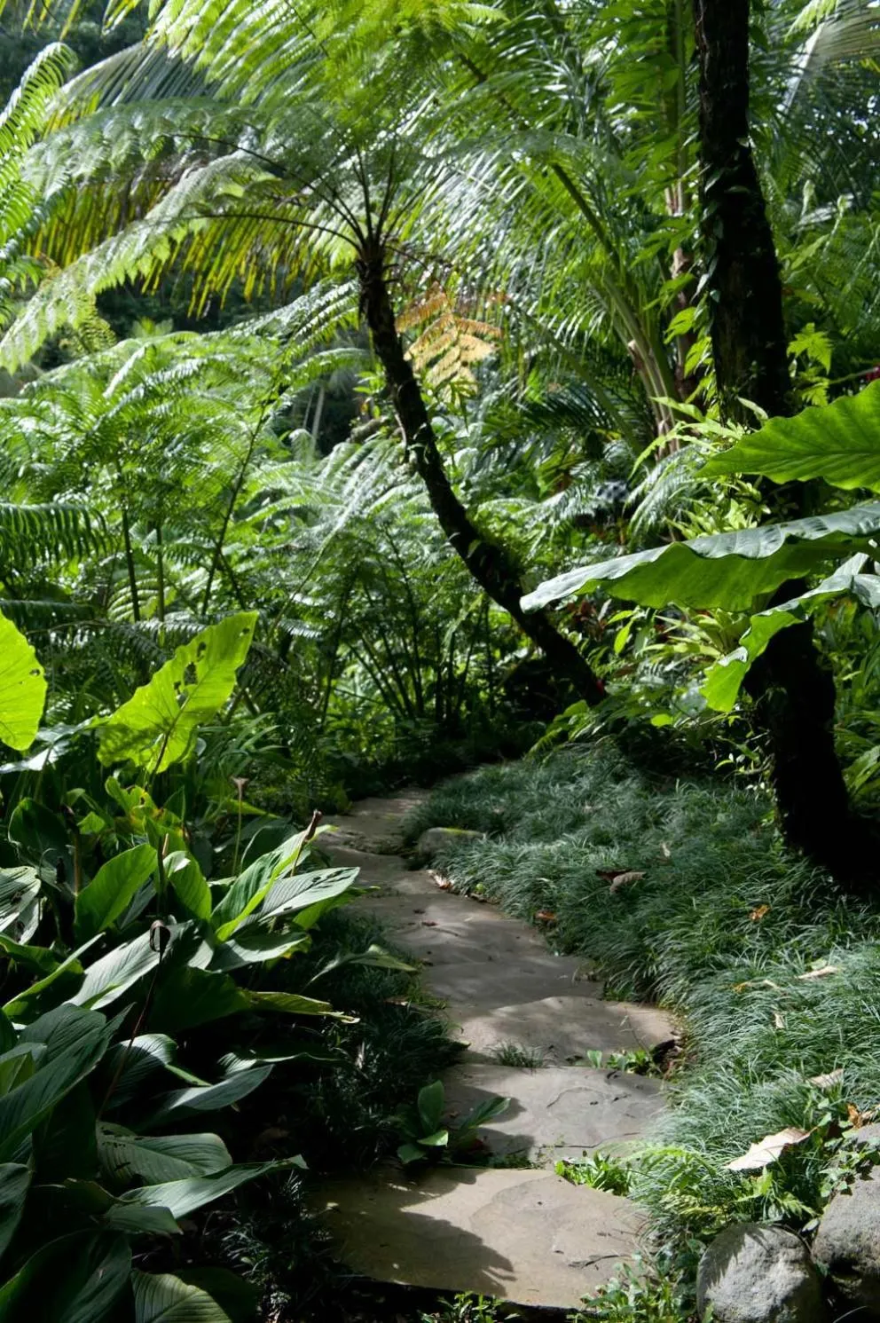 Garden view in Villa Beji Indah