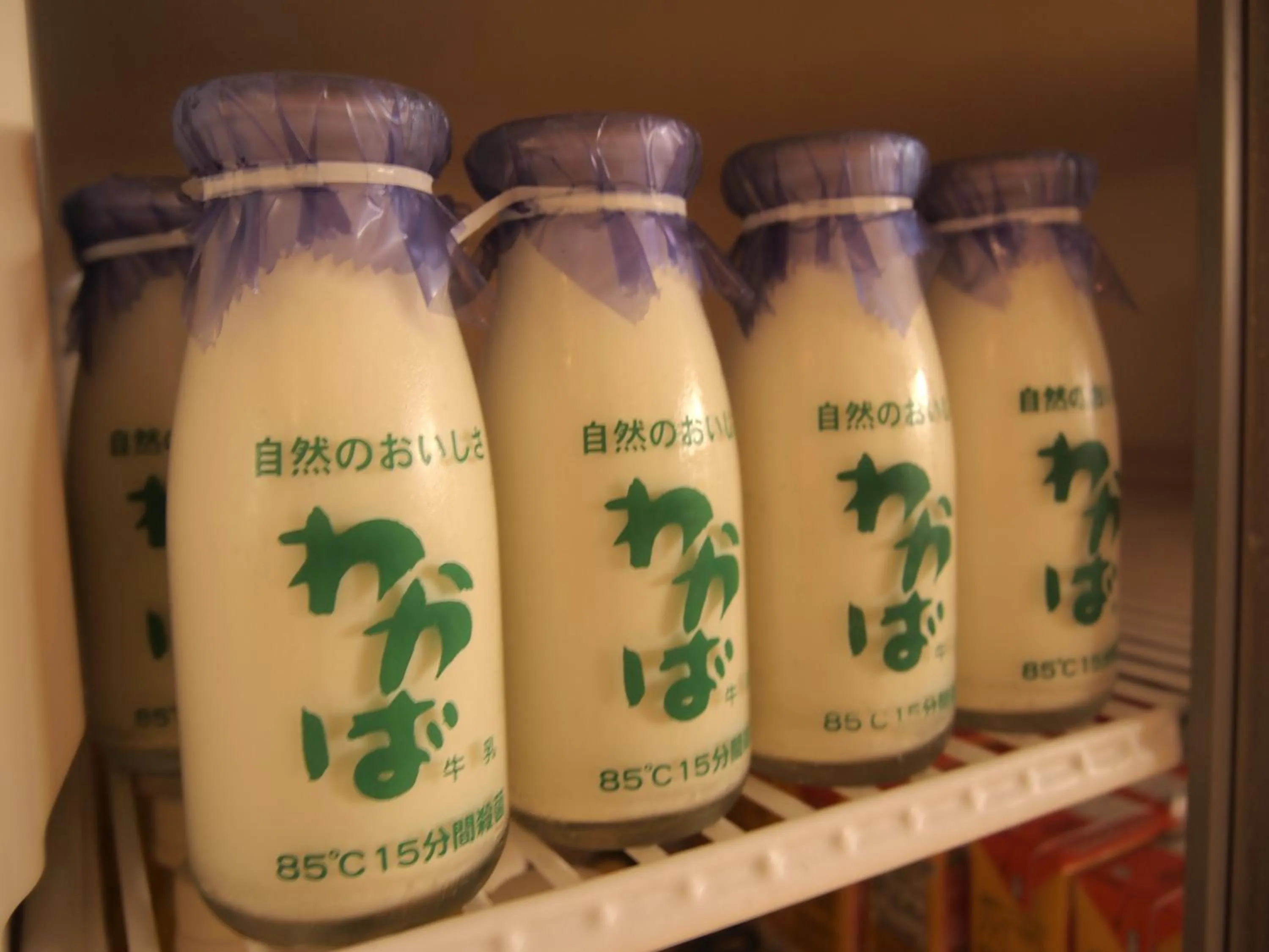 Restaurant/places to eat in Ryokan Urashima