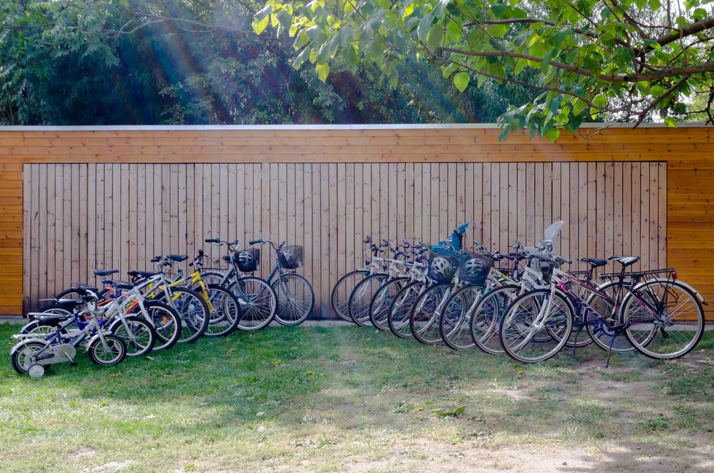 Other in Babi Guesthouse - Babi Vendégház