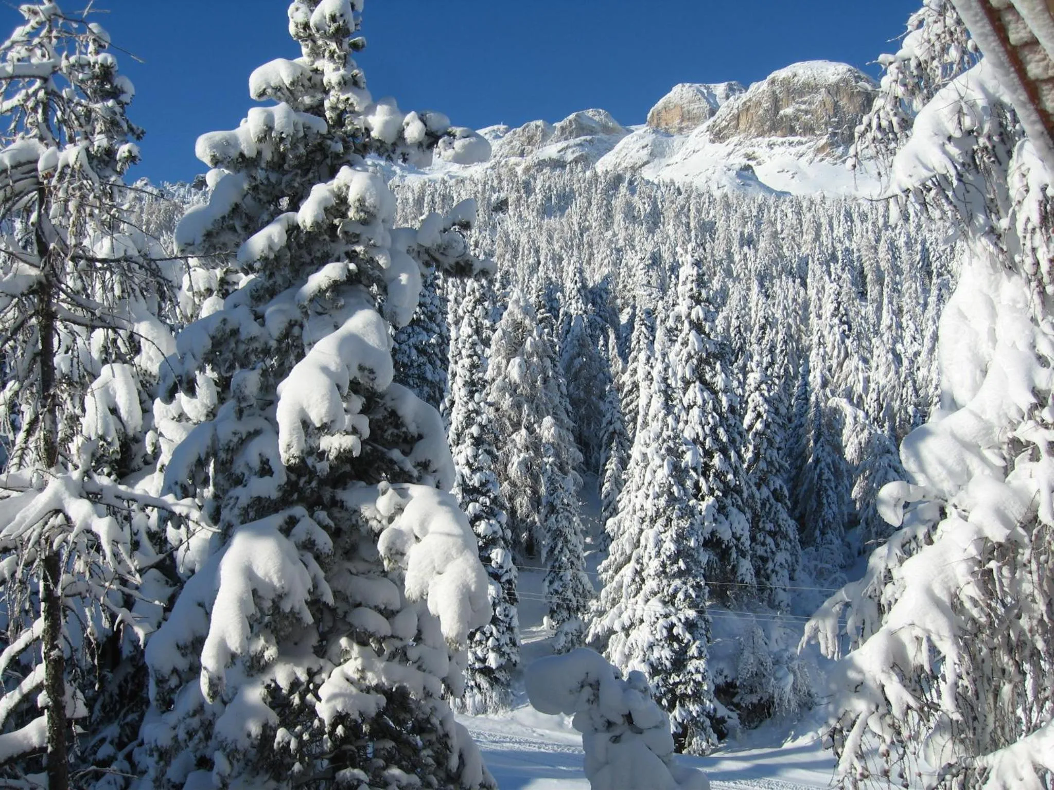 Natural landscape in Hotel Garni Elisir