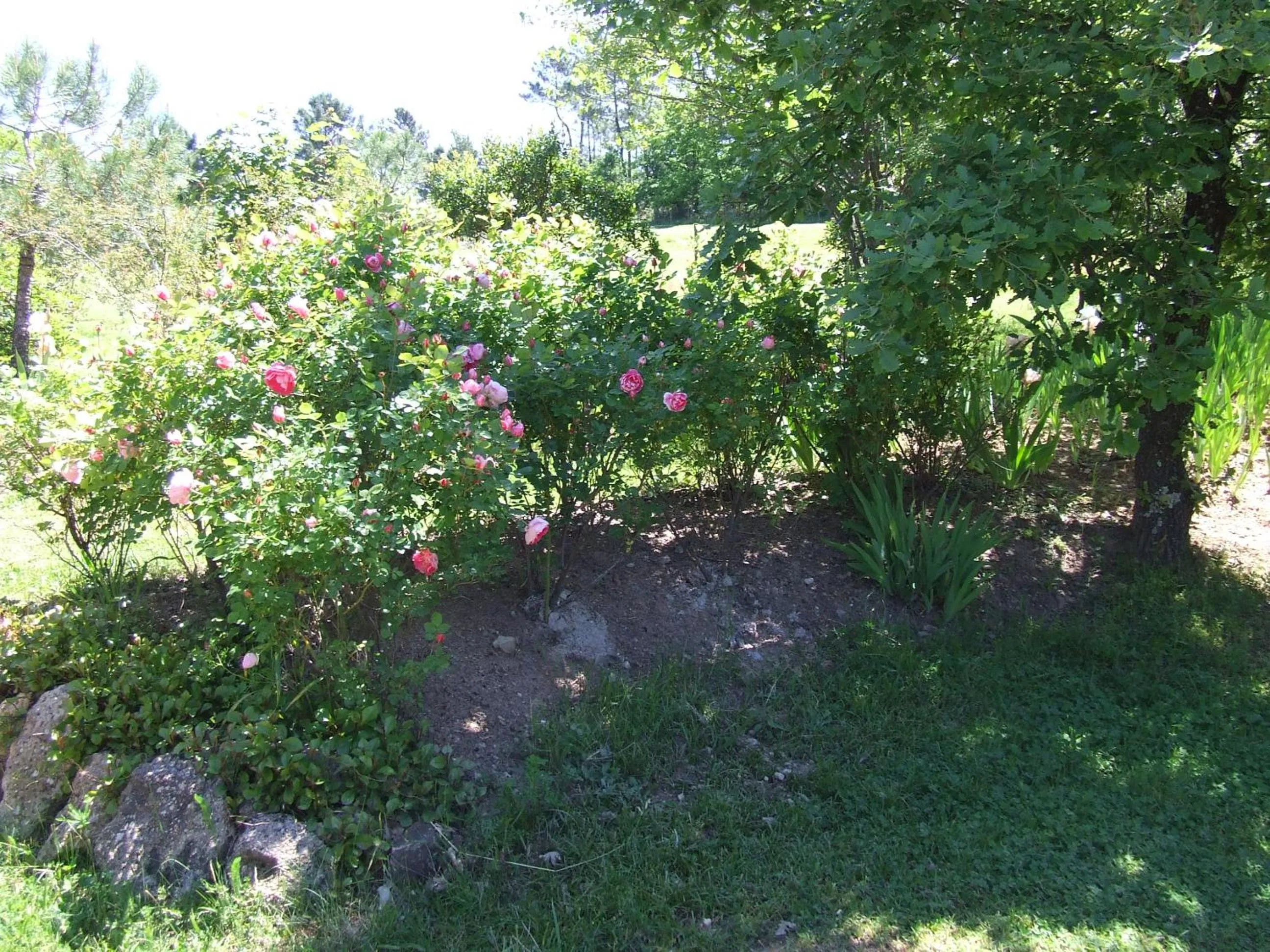 Property building in Domaine du Planas AILHON ARDECHE