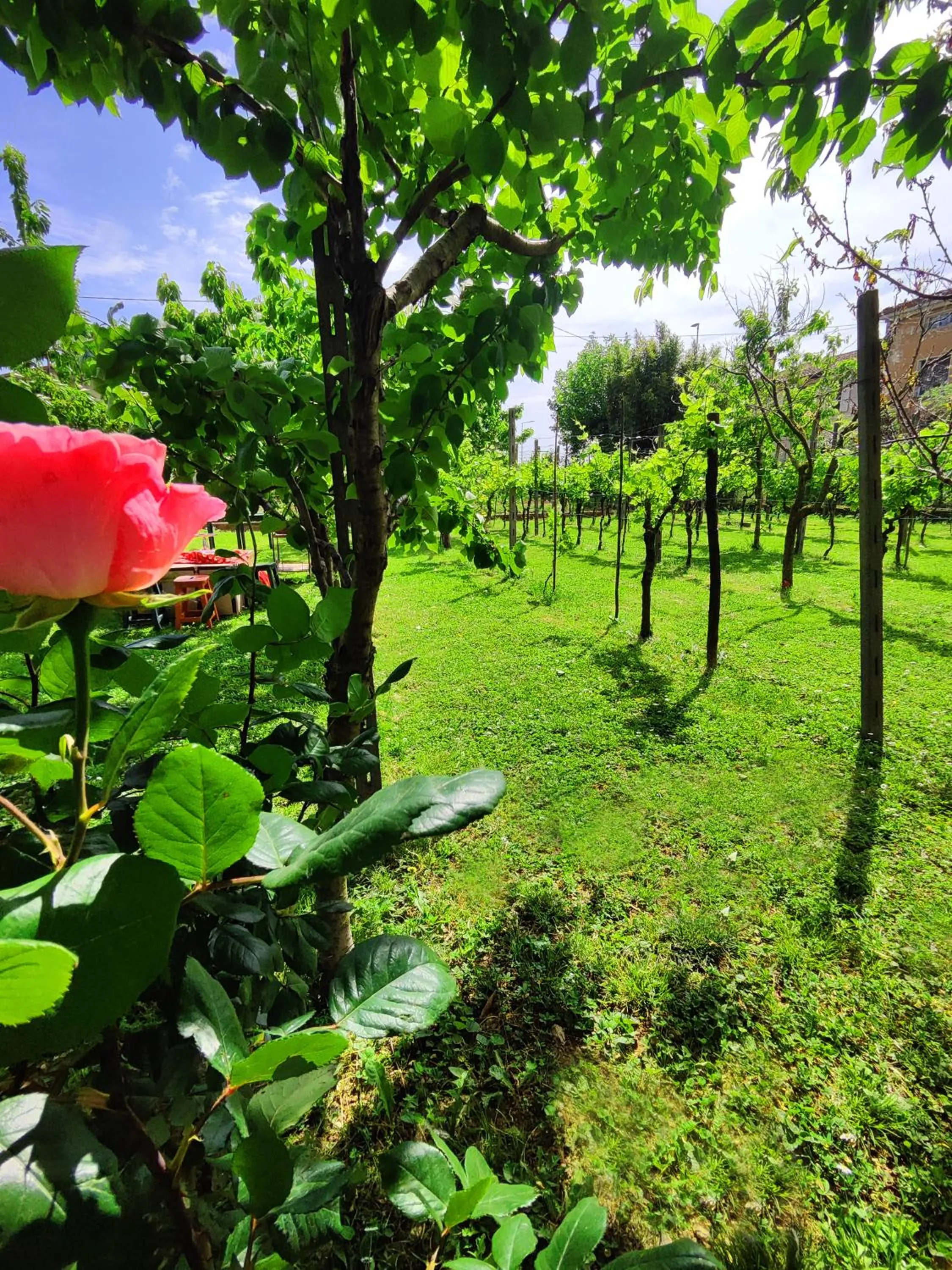 Garda Relais Antica Romelia